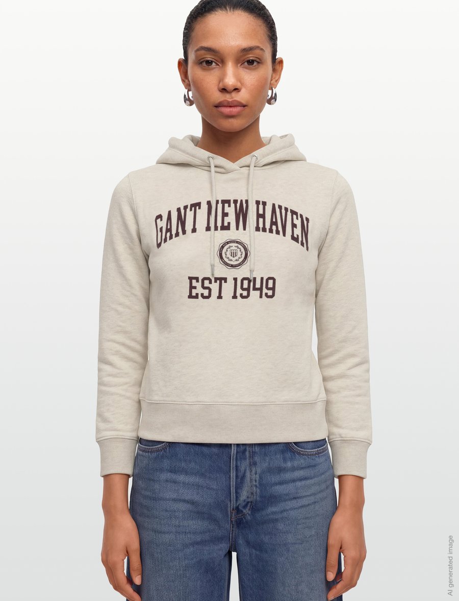 Gant - REG GRAPHIC SWEAT HOODIE - kapuzenpullover - light beige melange - 3