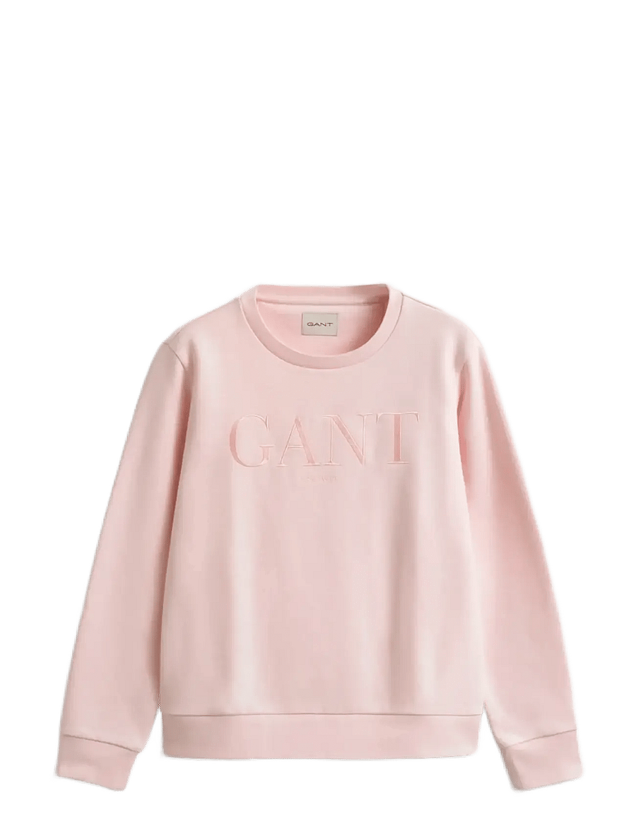 Gant - TONAL GRAPHIC C-NECK SWEAT - fashion trends - apricot pink - 1