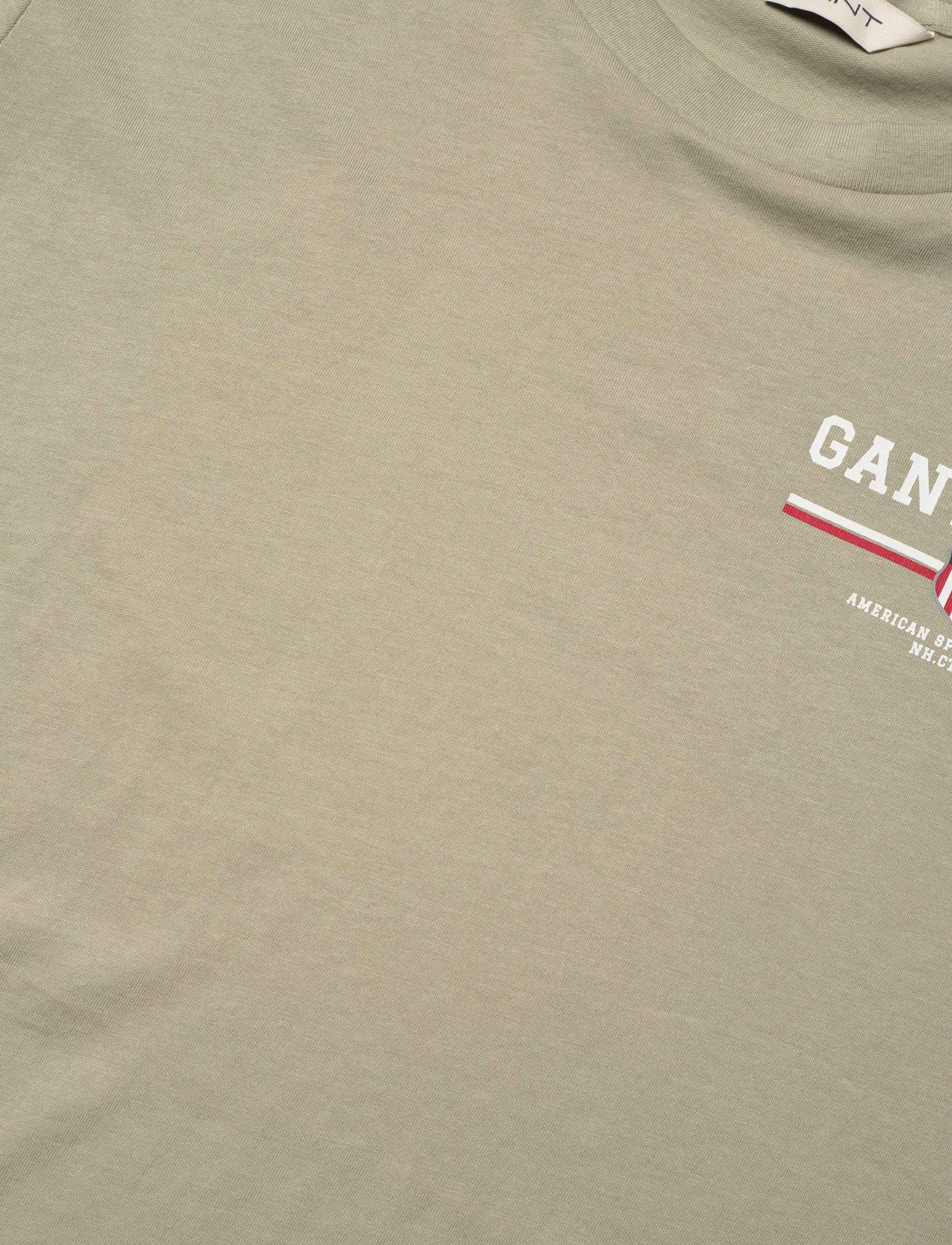 Gant - REG GRAPHIC SS T-SHIRT - t-särgid - faded sage - 2