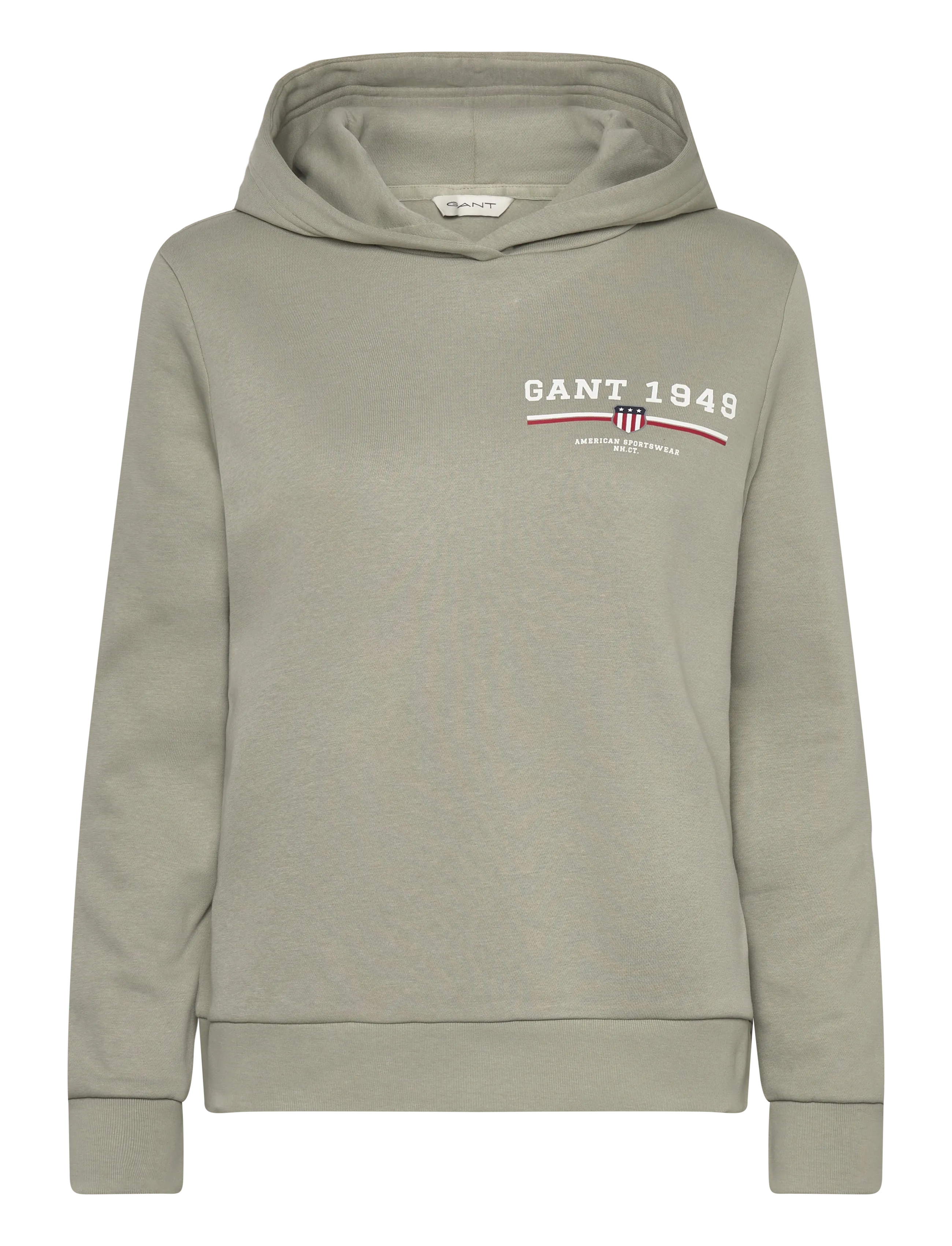 Gant REG GRAPHIC HOODIE - GANT - FADED SAGE / khaki/green