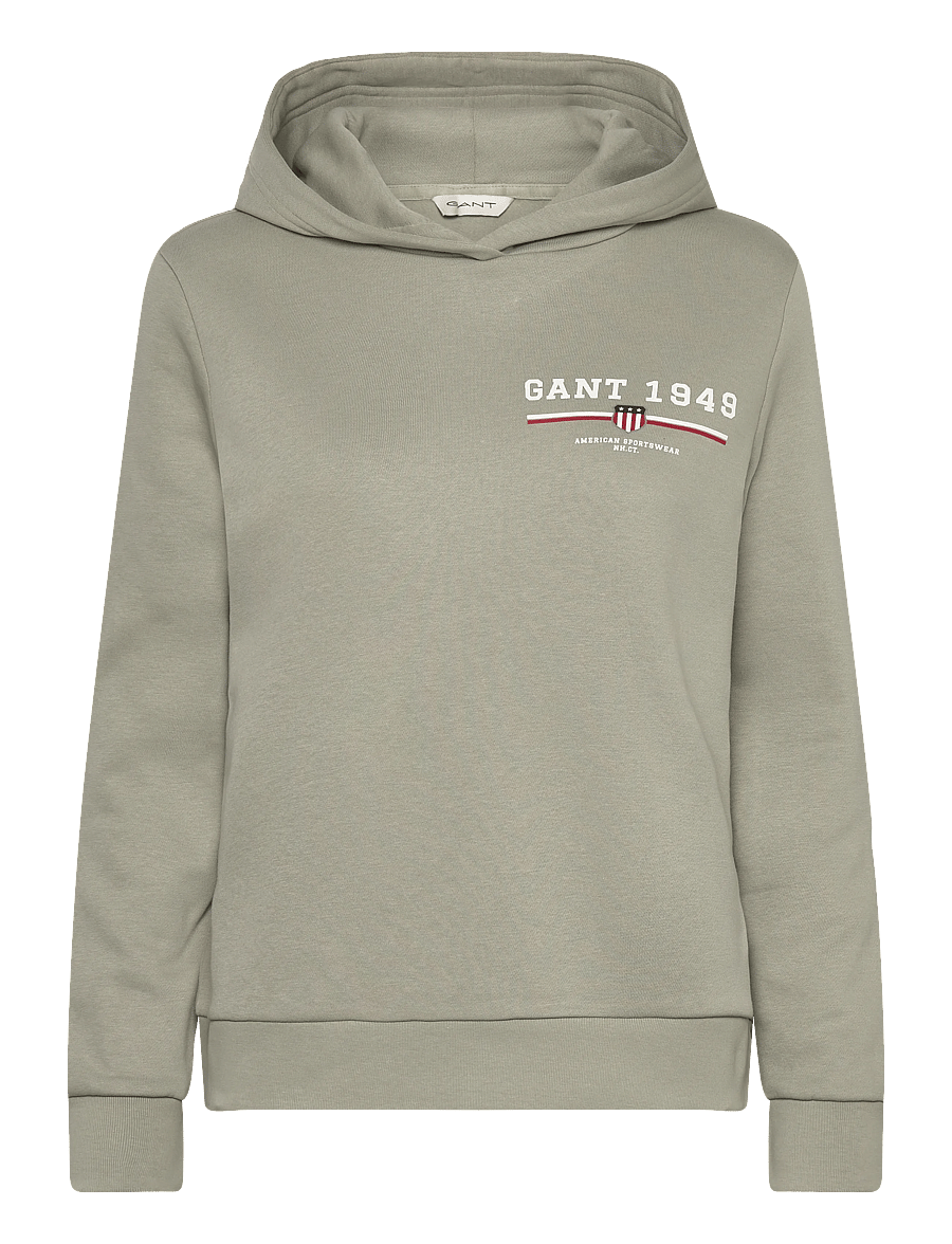 Gant - REG GRAPHIC HOODIE - hættetrøjer - faded sage - 0