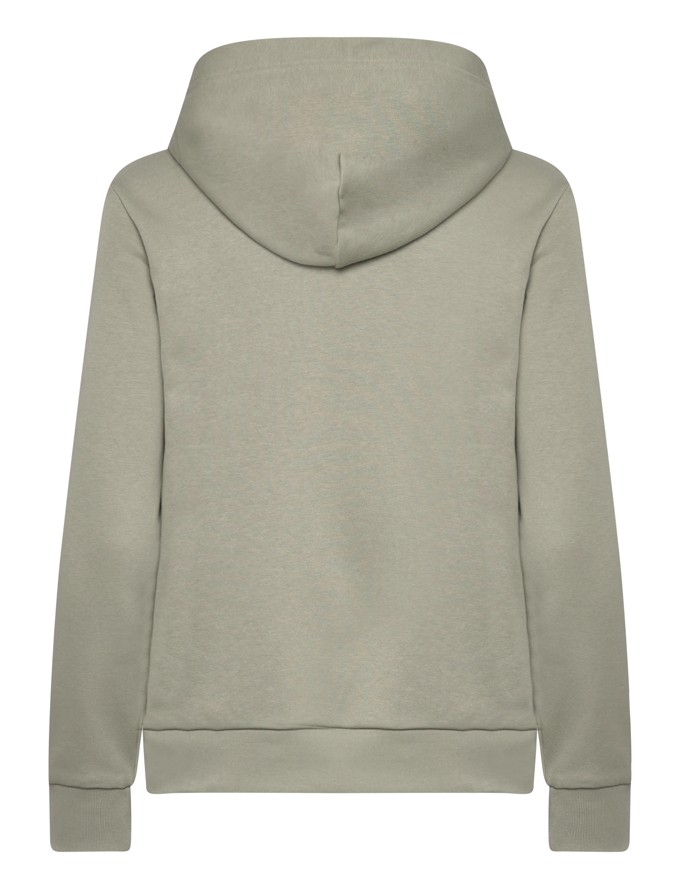 Gant - REG GRAPHIC HOODIE - hættetrøjer - faded sage - 1