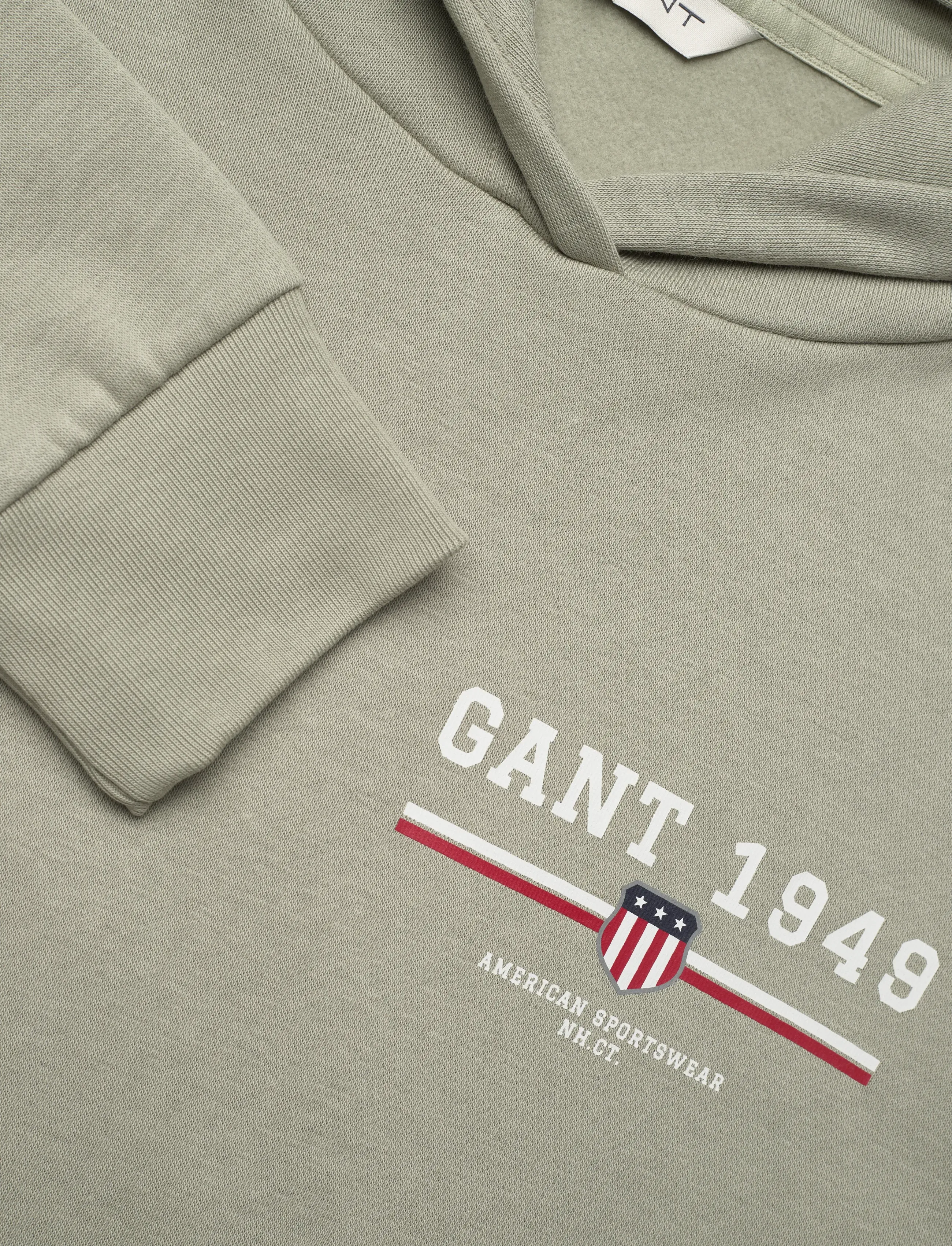 Gant - REG GRAPHIC HOODIE - hættetrøjer - faded sage - 2