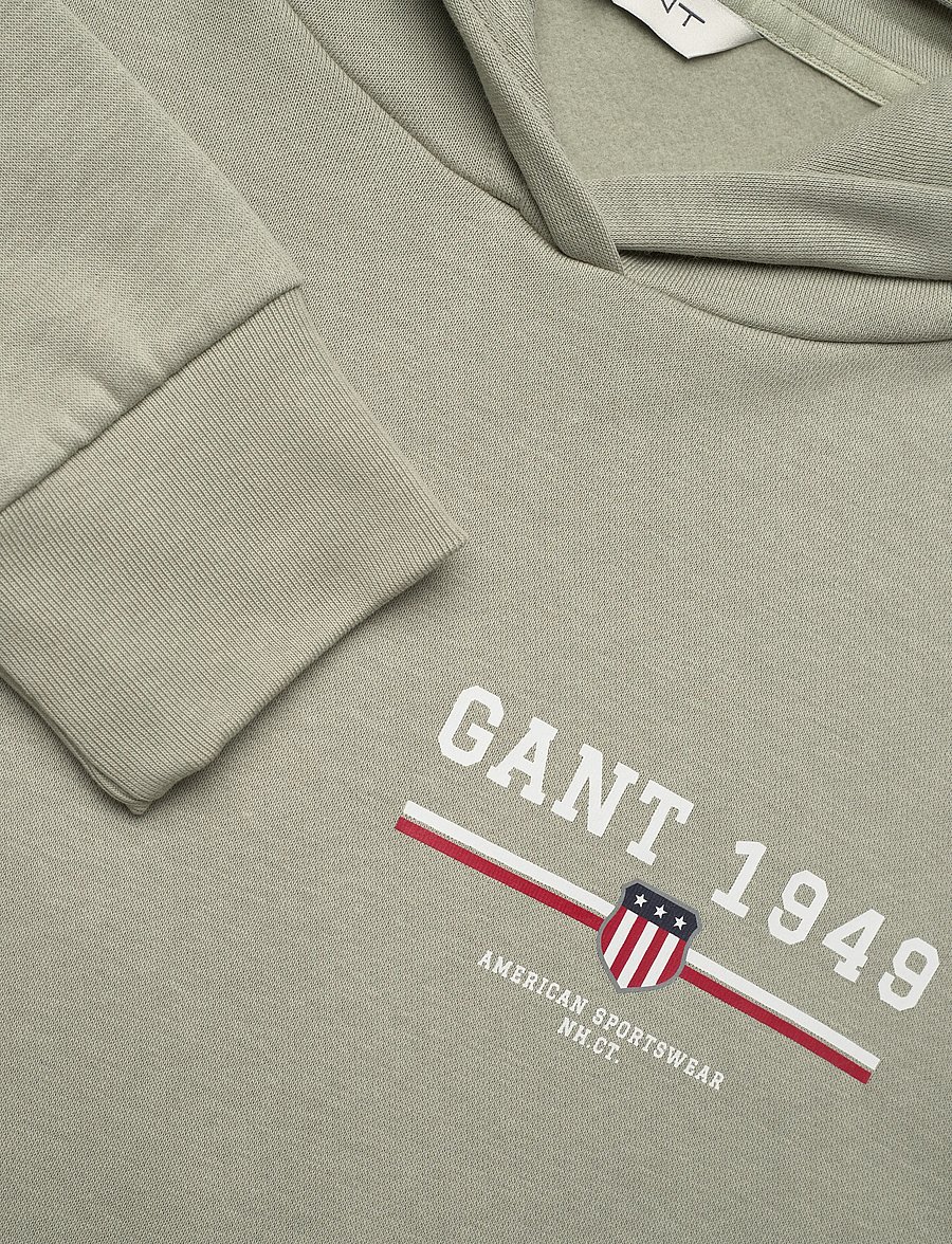 Gant - REG GRAPHIC HOODIE - hættetrøjer - faded sage - 2