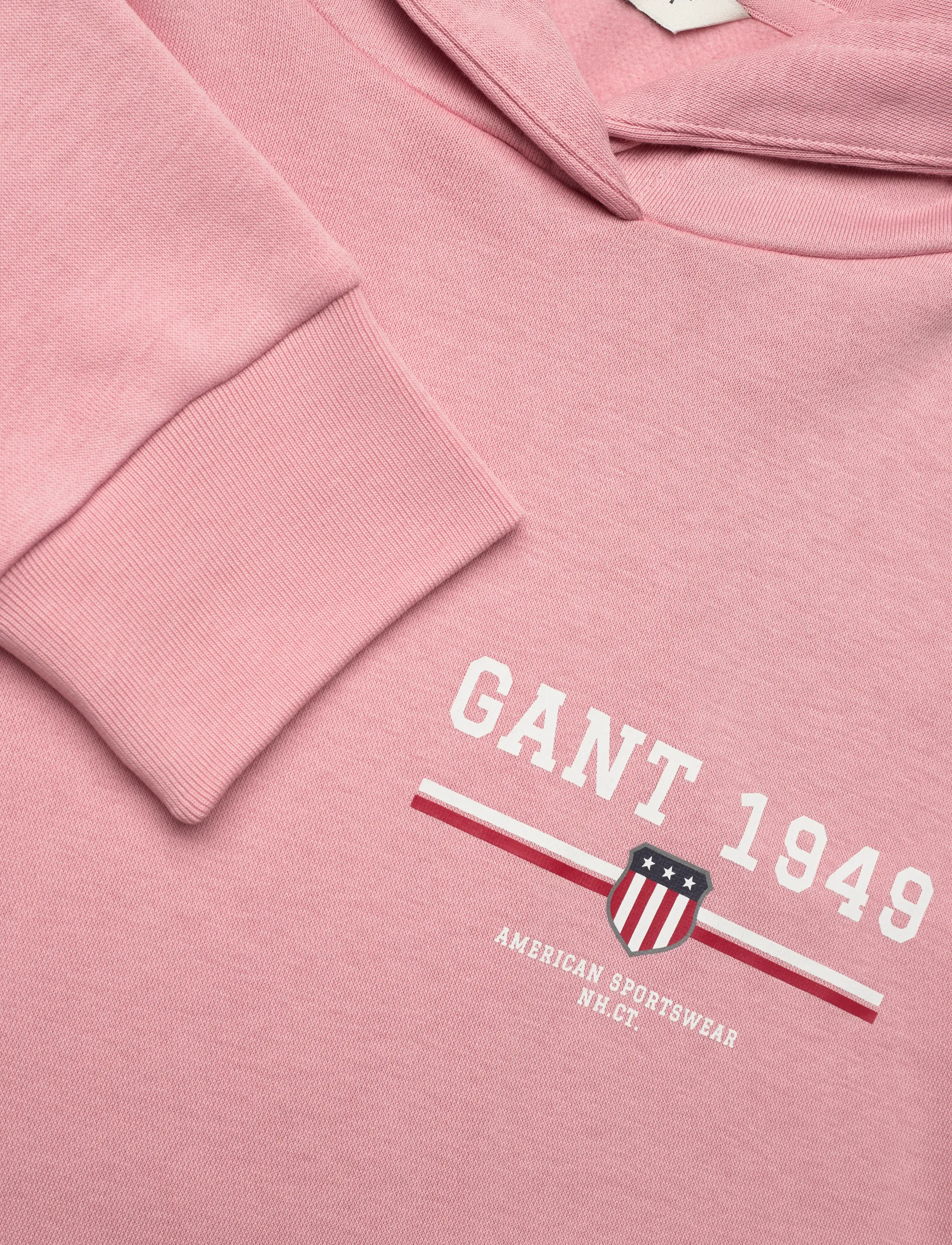 Gant - REG GRAPHIC HOODIE - hættetrøjer - summer rose - 2