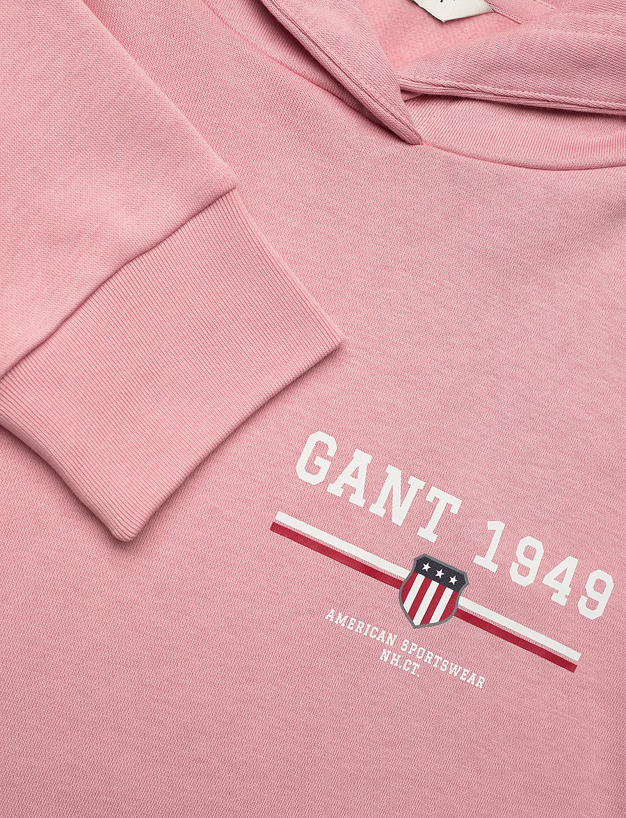 Gant - REG GRAPHIC HOODIE - hoodies - summer rose - 2