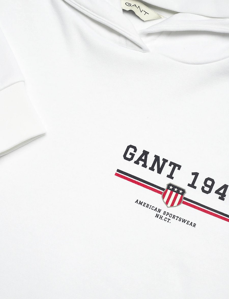 Gant - REG GRAPHIC HOODIE - kapuzenpullover - white - 2