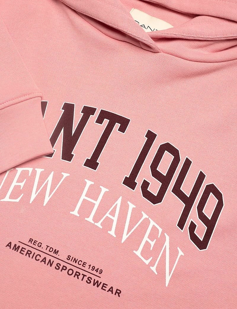 GANT - REG ARCH PRINT HOODIE - hættetrøjer - summer rose - 2