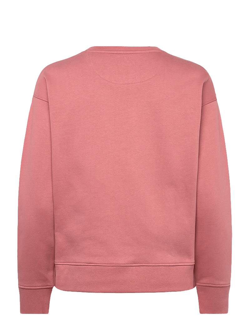 GANT - RAISED GRAPHIC C-NECK SWEAT - modetrender - faded brick - 1