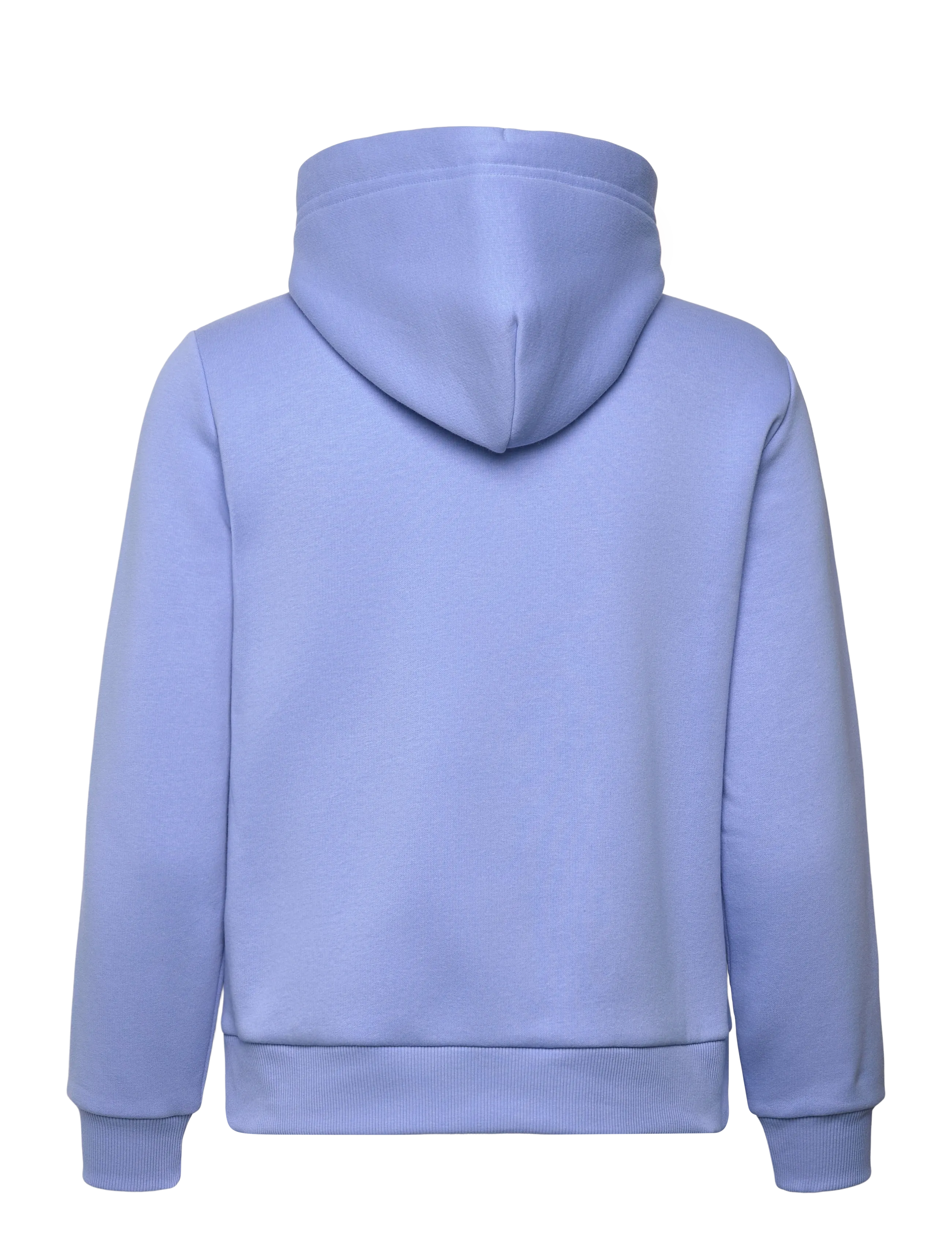 Gant - REG TONAL SHIELD ZIP HOODIE - kapuzenpullover - hydrangea blue - 2
