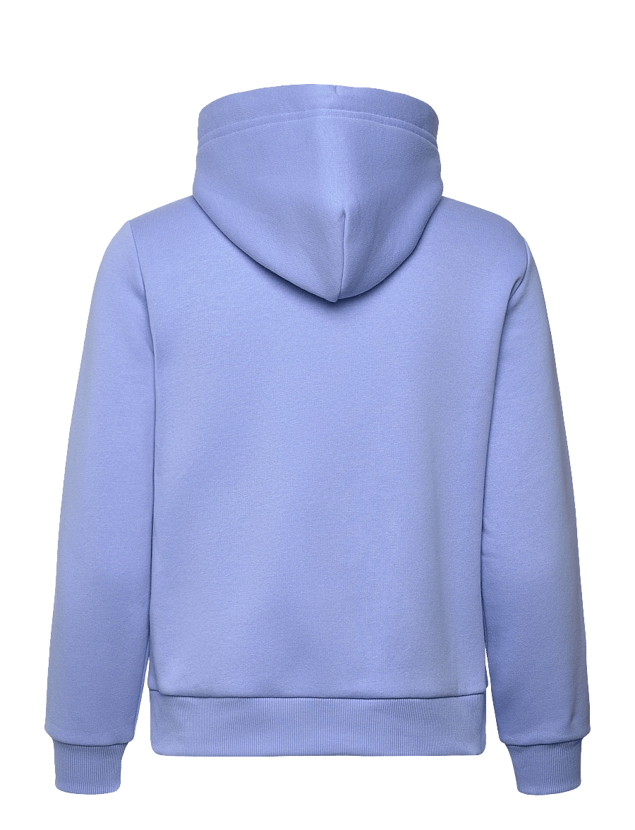 Gant - REG TONAL SHIELD ZIP HOODIE - kapuzenpullover - hydrangea blue - 2