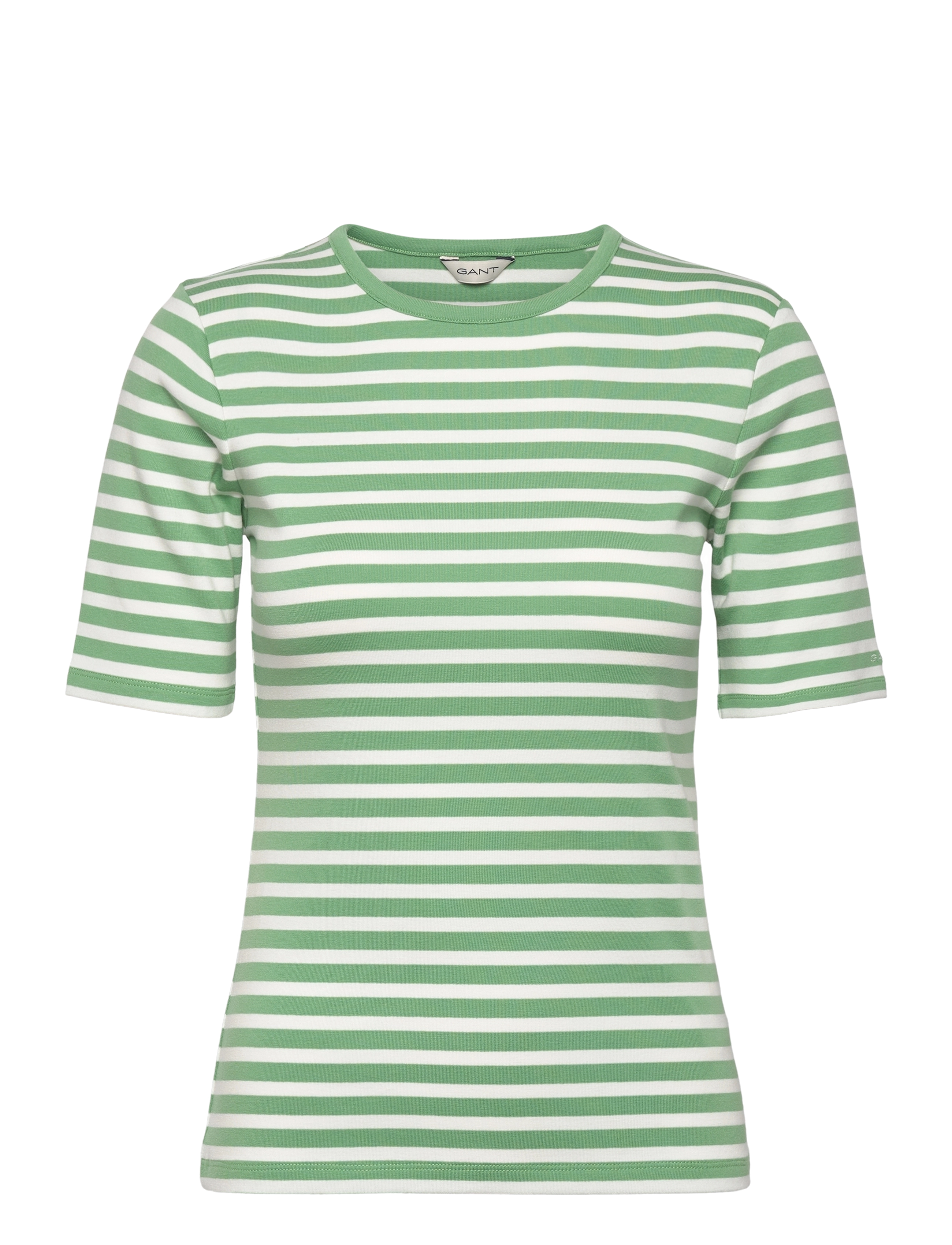 DUSTY GREEN