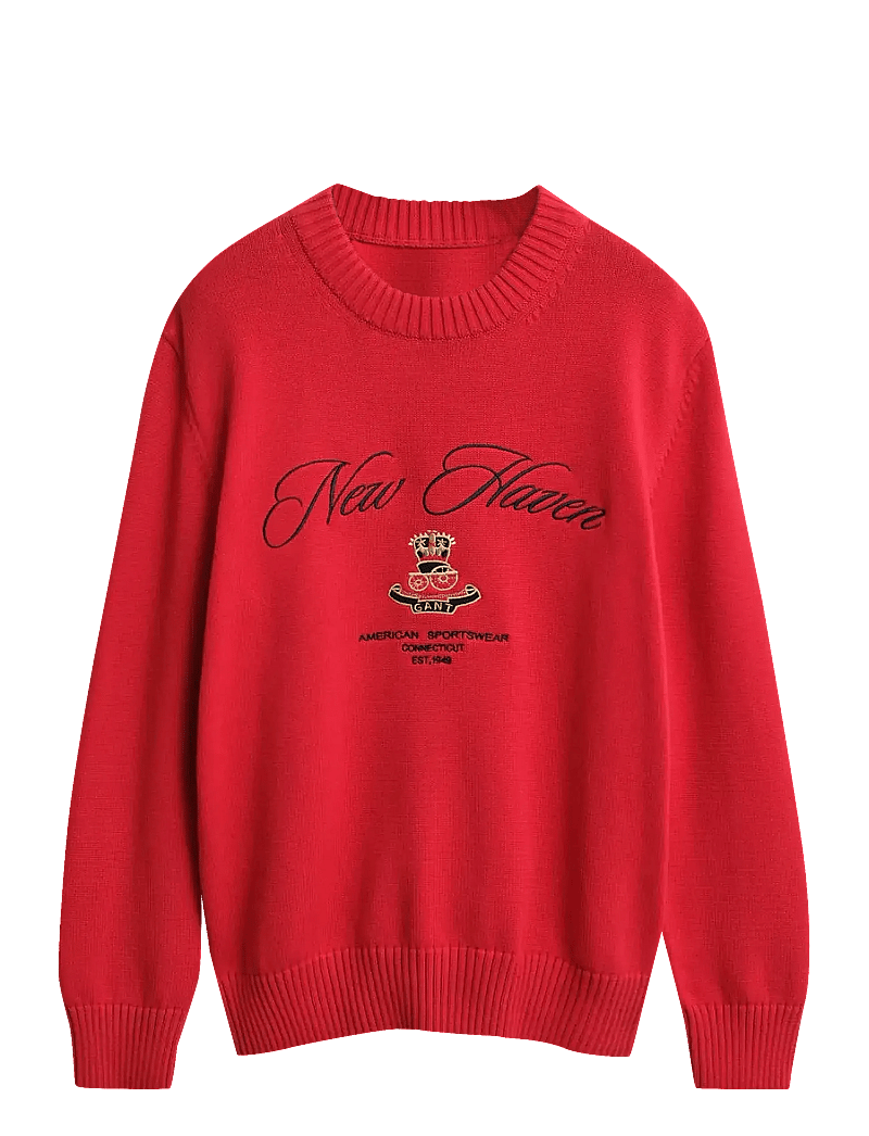 GANT - GRAPHIC COTTON C-NECK - striktrøjer - ruby red - 1