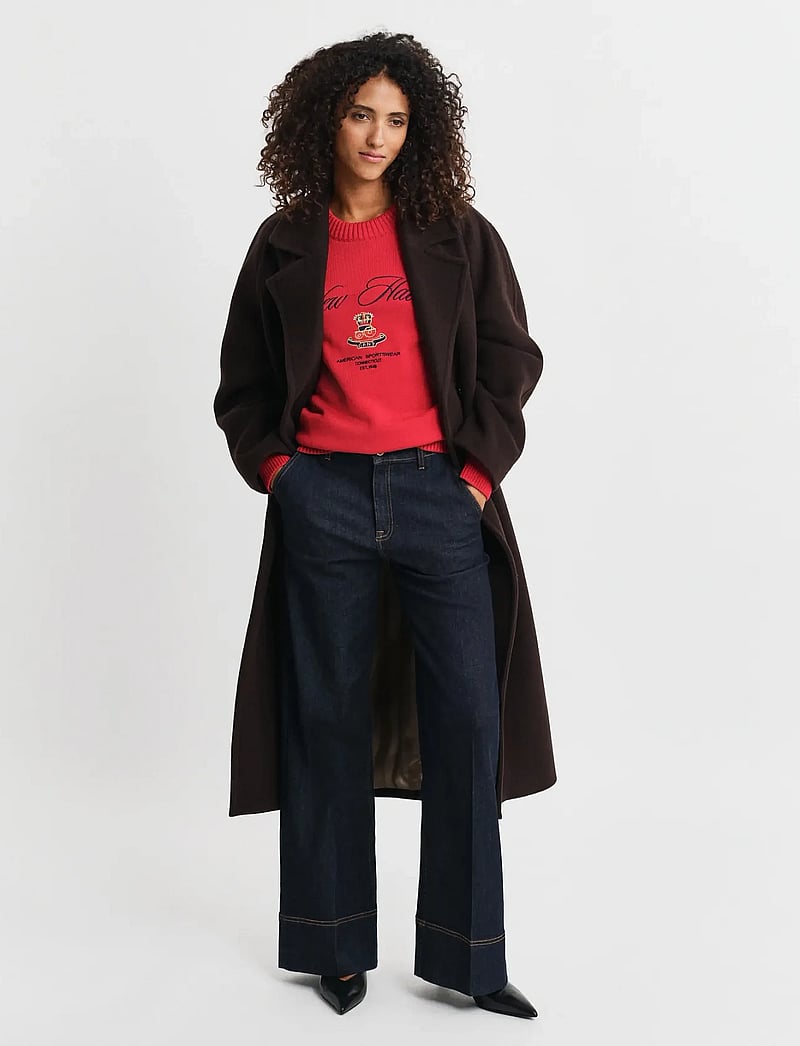 GANT - GRAPHIC COTTON C-NECK - striktrøjer - ruby red - 4