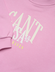 GANT - GANT USA VOLUMINOUS C-NECK - sweatshirts - milky pink - 2