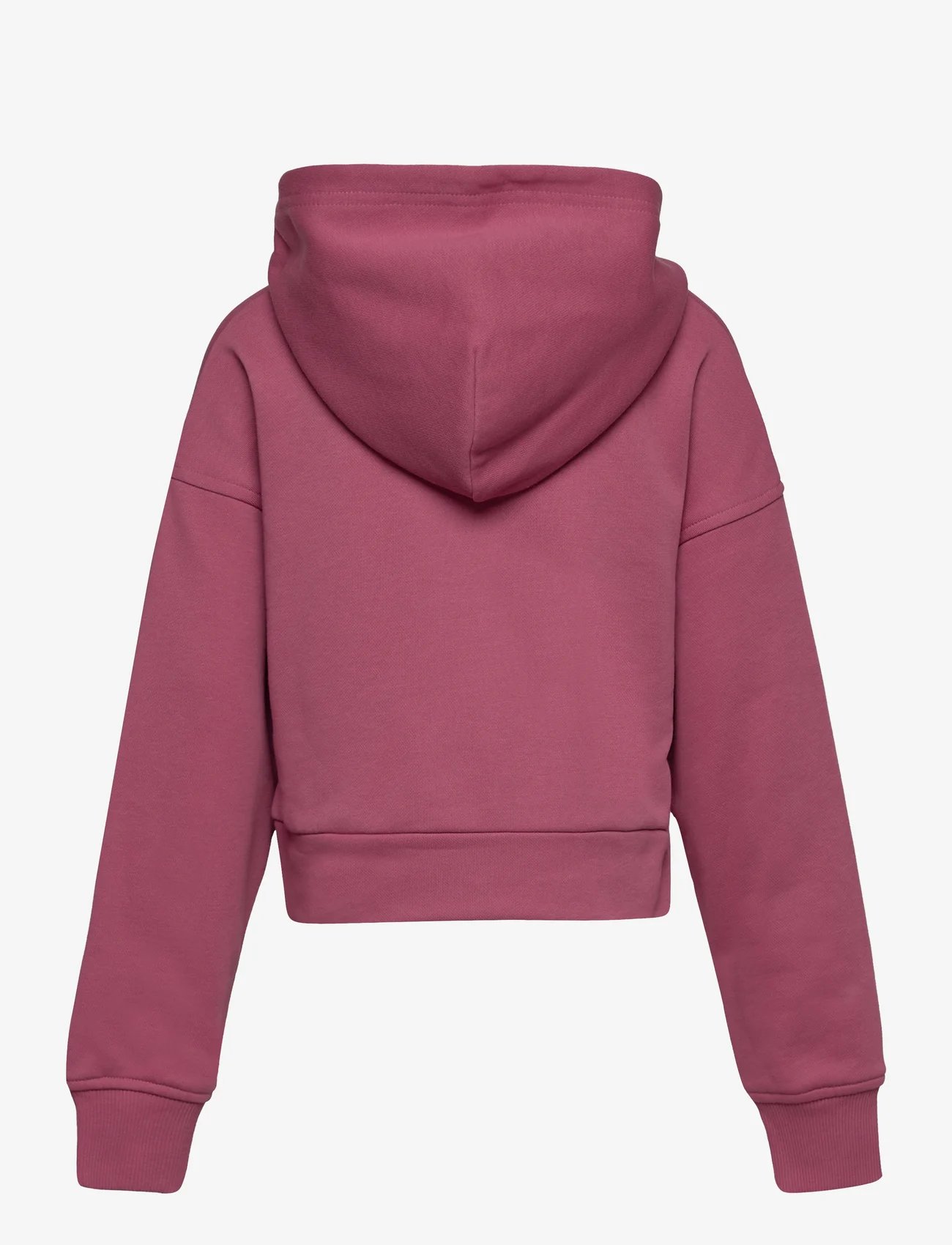 GANT - TWISTED SWEAT HOODIE - huvtröjor - powder rose - 1