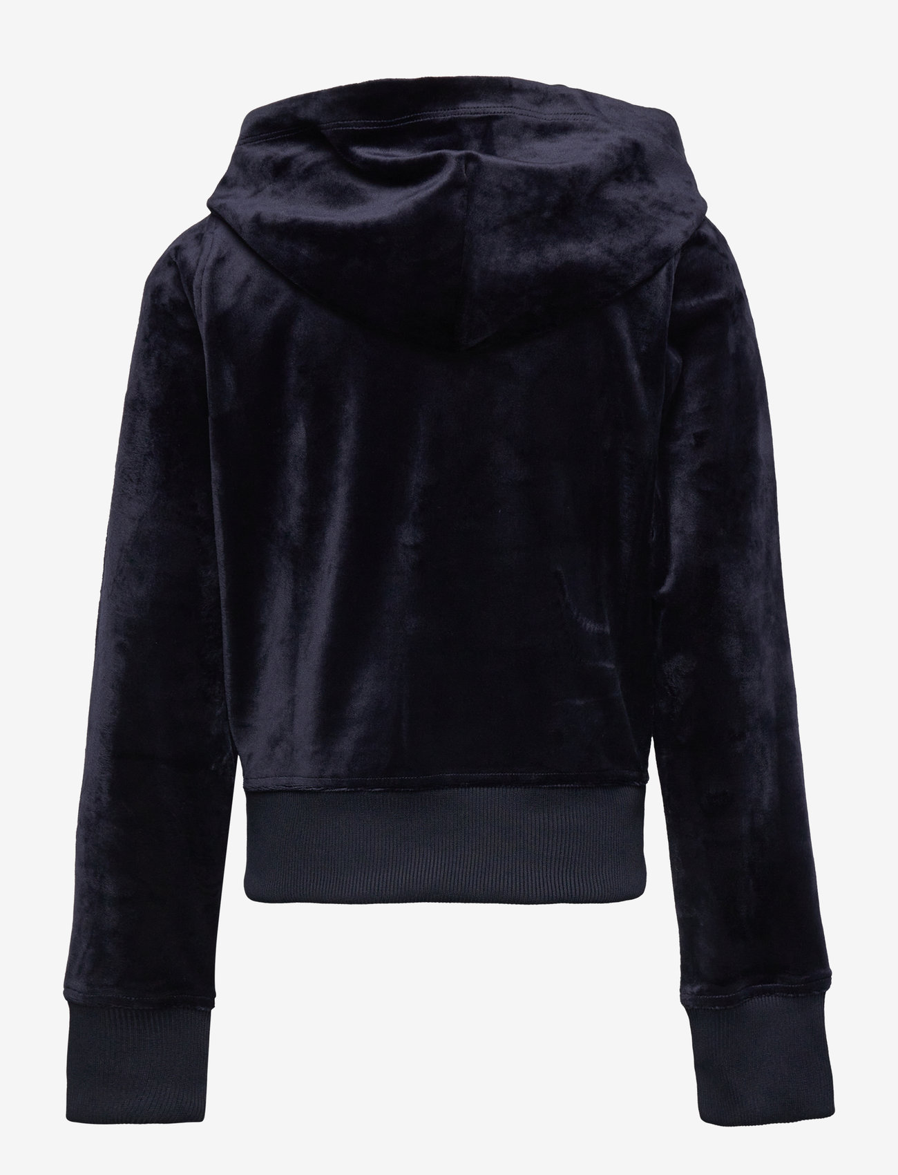 GANT - VELOUR ZIP HOODIE - kapuzenpullover - evening blue - 1