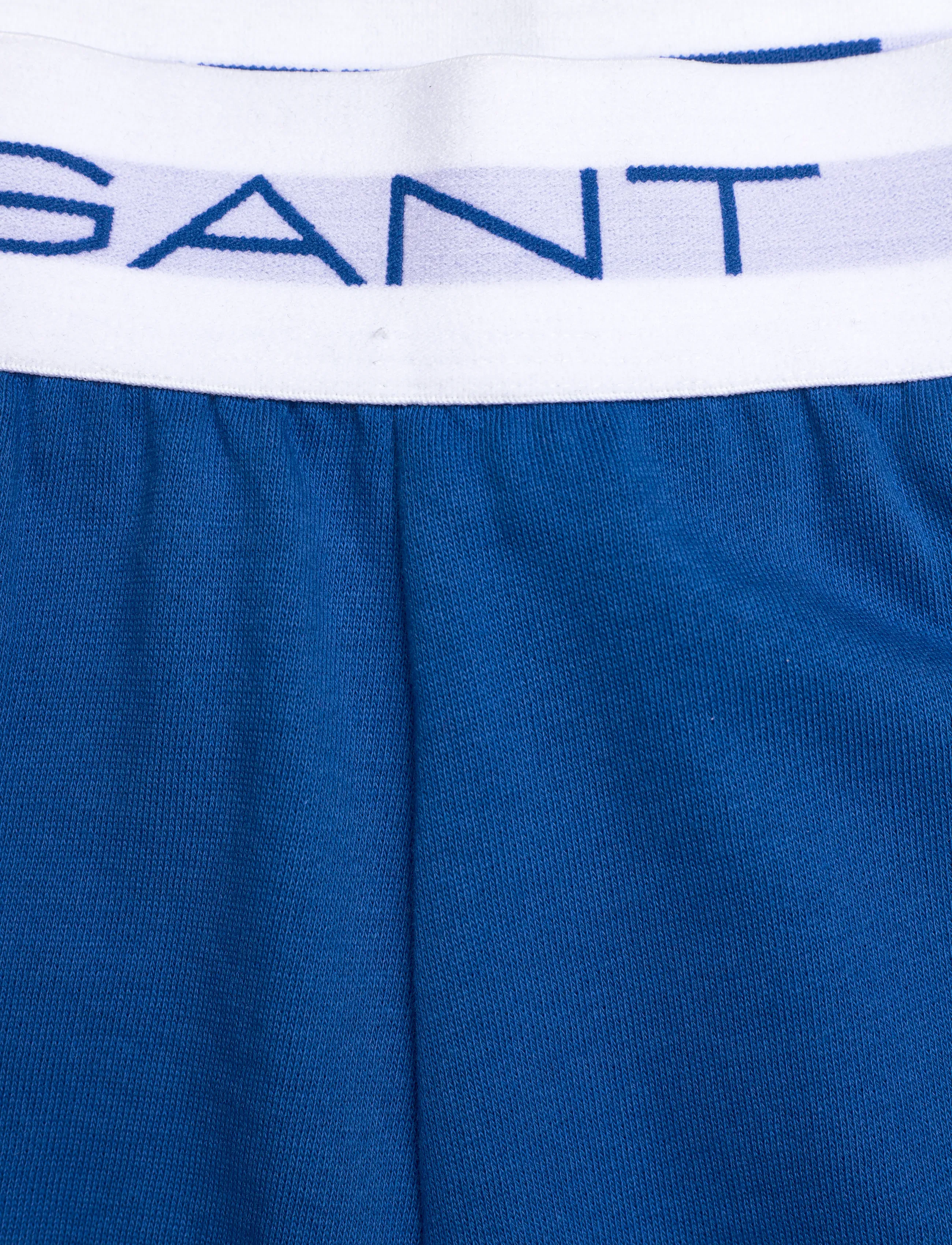 Gant - GANT SWEATSHORTS - sweatshorts - lapis blue - 3
