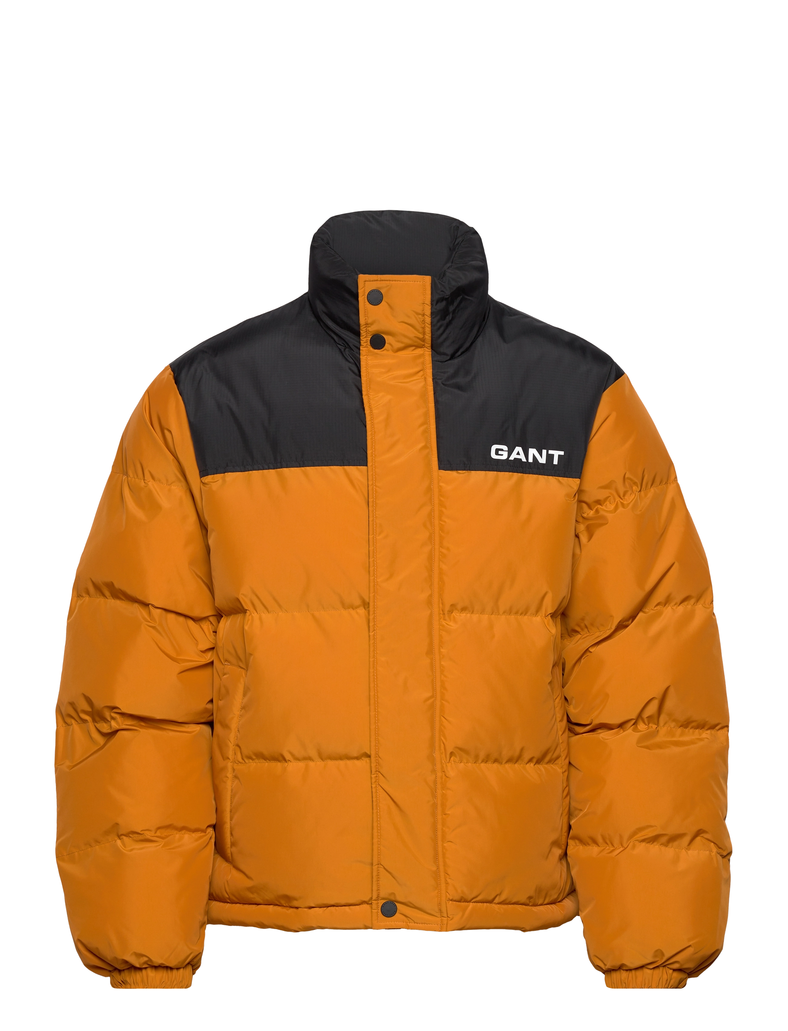 DK MUSTARD ORANGE