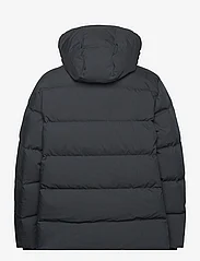 GANT - ALTA DOWN JACKET - winter jackets - black - 1