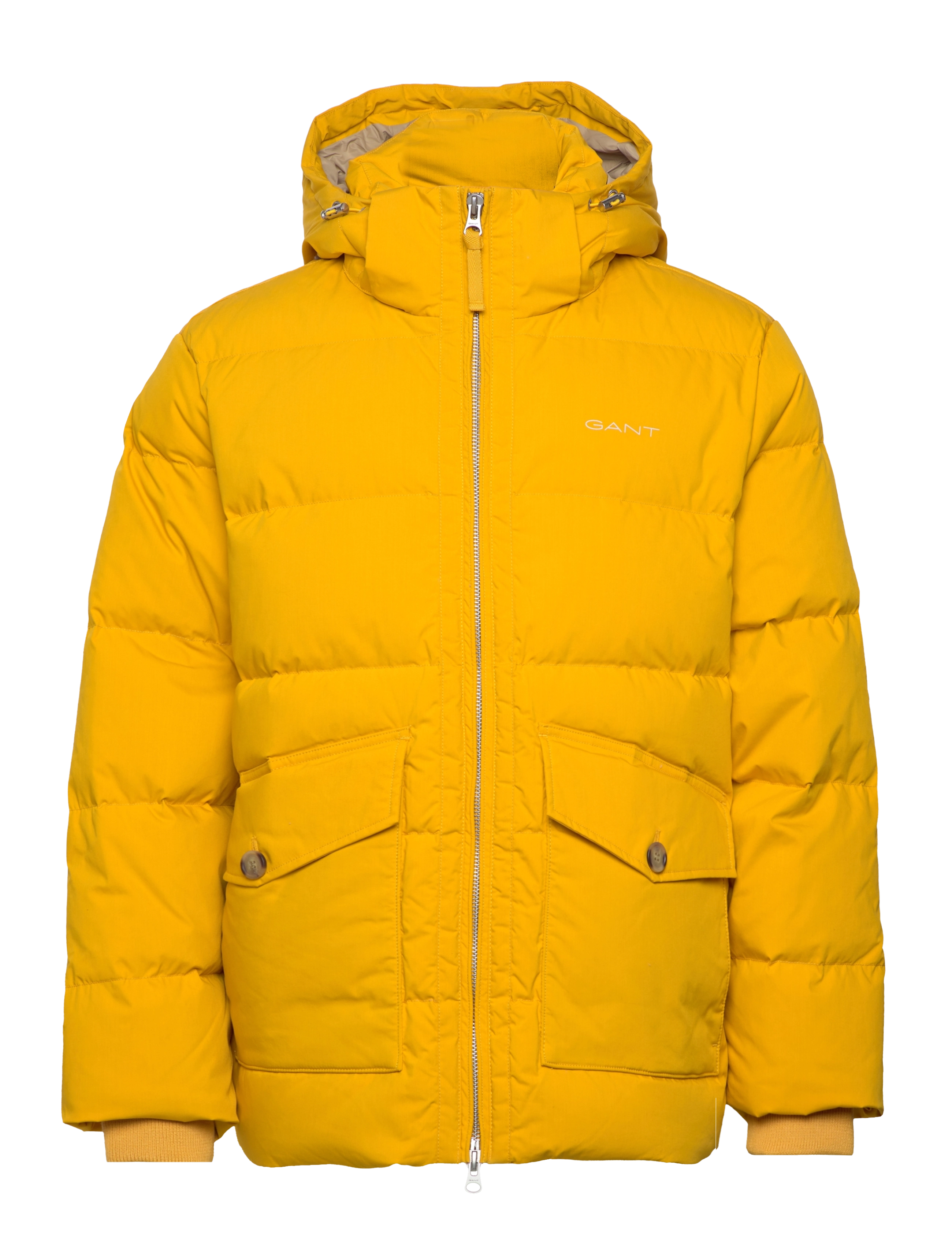 SUNFLOWER YELLOW