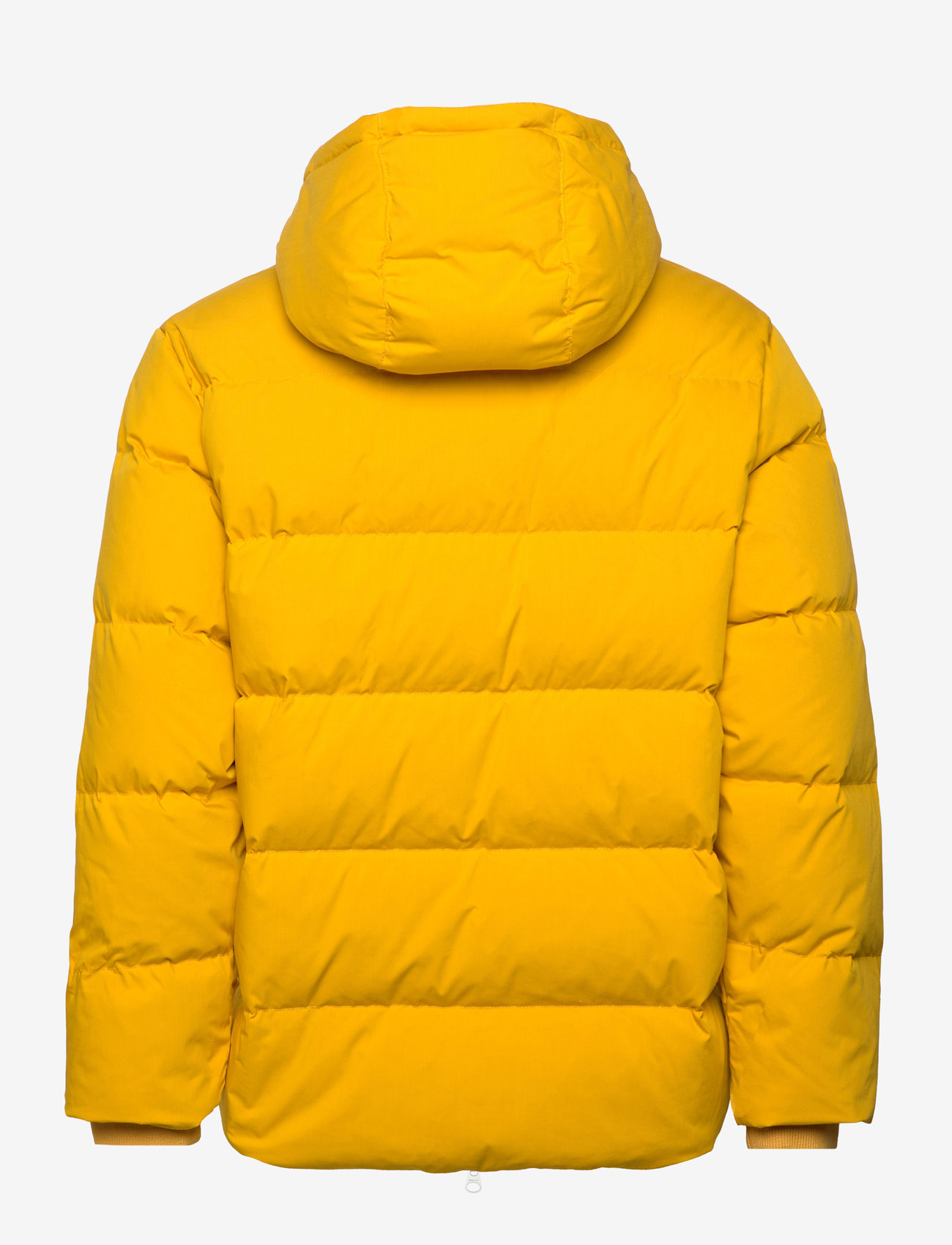 GANT - ALTA DOWN JACKET - vinterjakker - sunflower yellow - 1