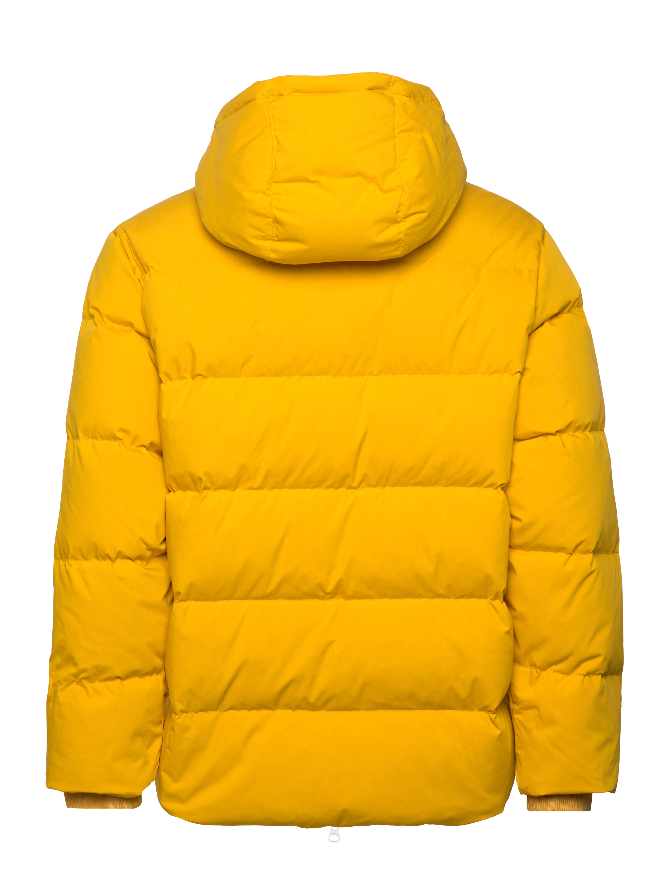 GANT - ALTA DOWN JACKET - sunflower yellow - 1