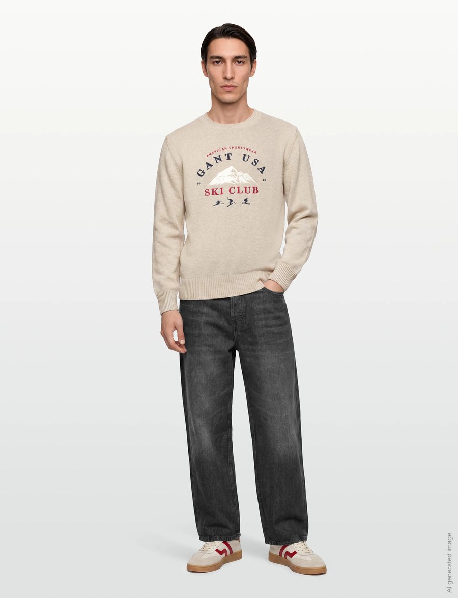 Gant - EMBROIDERED GRAPHIC C-NECK - rundhalsad - seed melange - 0