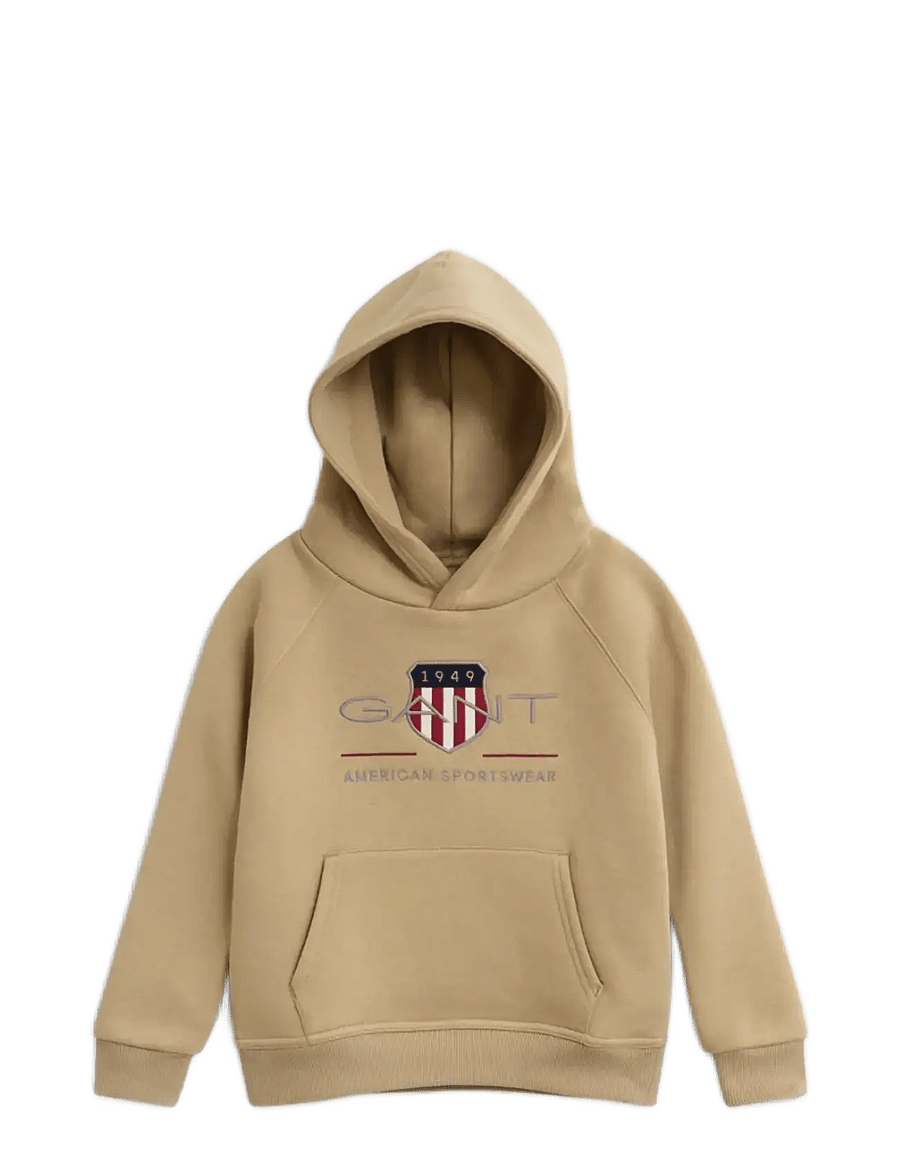 Gant - ARCHIVE SHIELD RAGLAN HOODIE - džemperiai su gobtuvu - dark khaki - 0