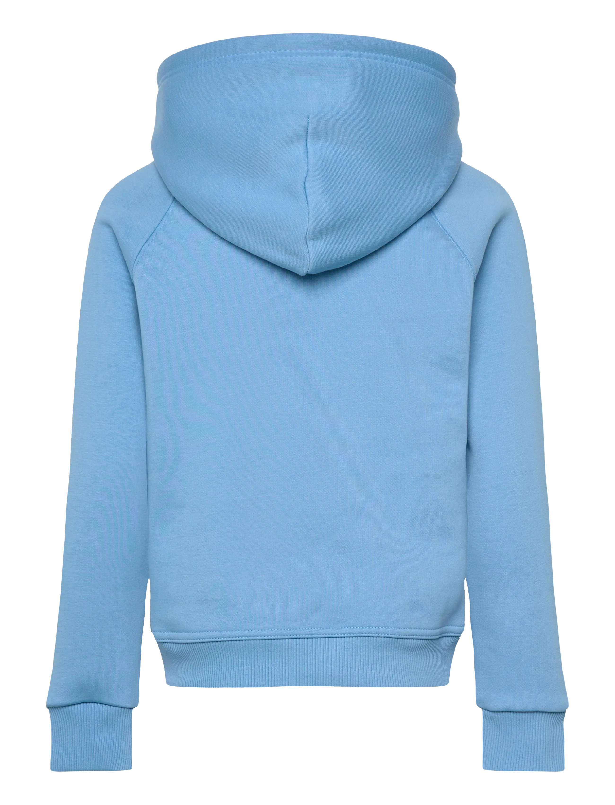 Gant - ARCHIVE SHIELD RAGLAN HOODIE - kapuzenpullover - dream blue - 1