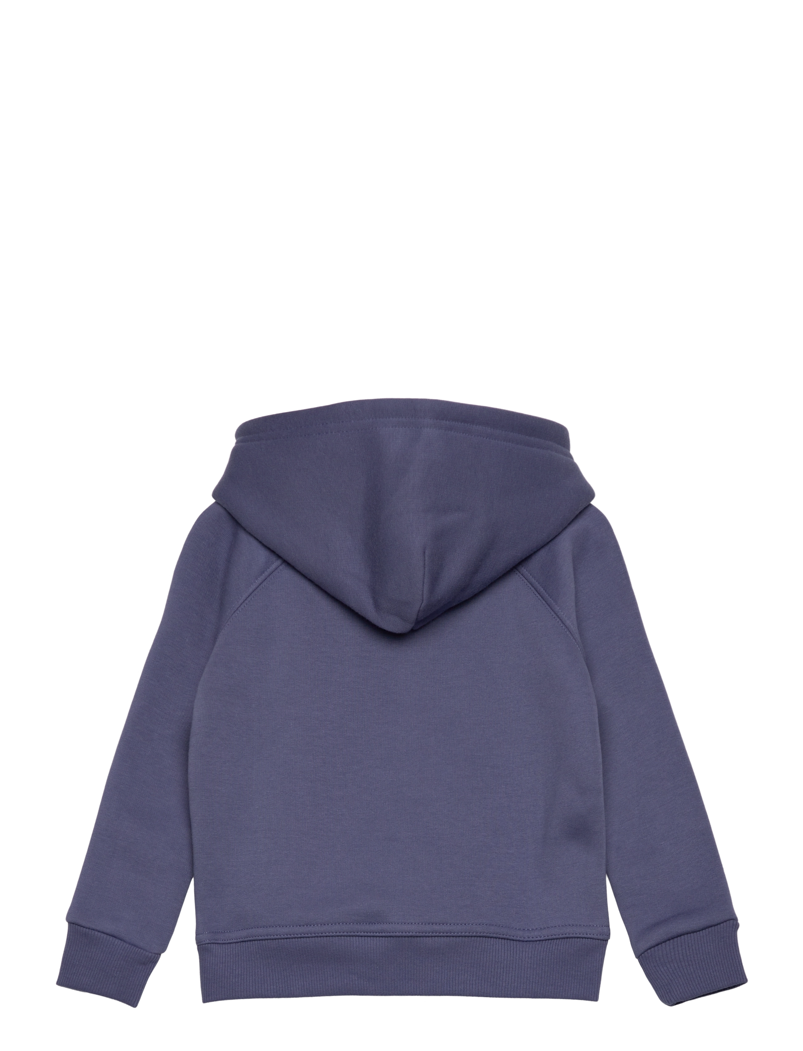 Gant - ARCHIVE SHIELD RAGLAN HOODIE - kapuutsiga dressipluusid - dusty navy - 1