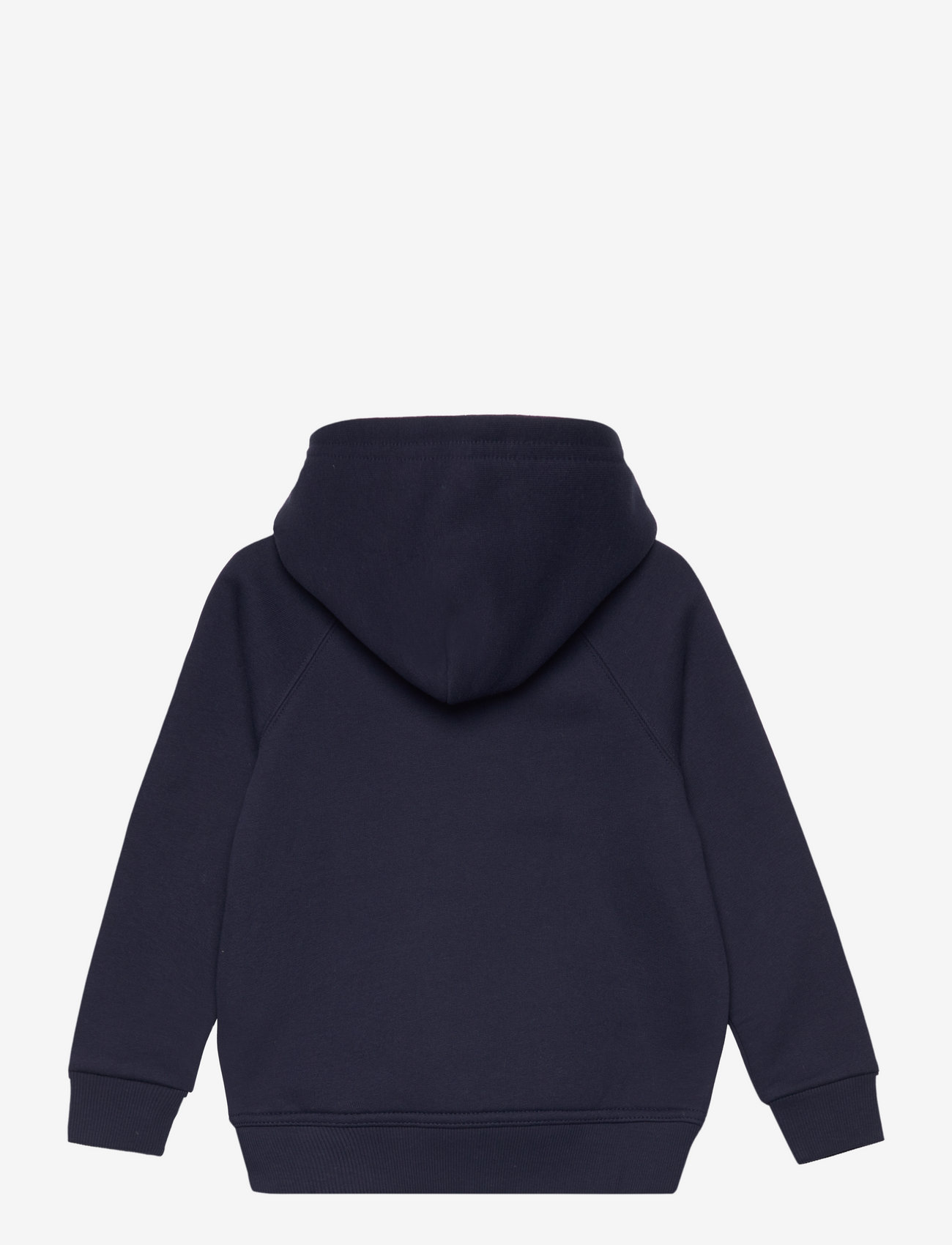 GANT - ARCHIVE SHIELD RAGLAN HOODIE - kapuutsiga dressipluusid - evening blue - 1