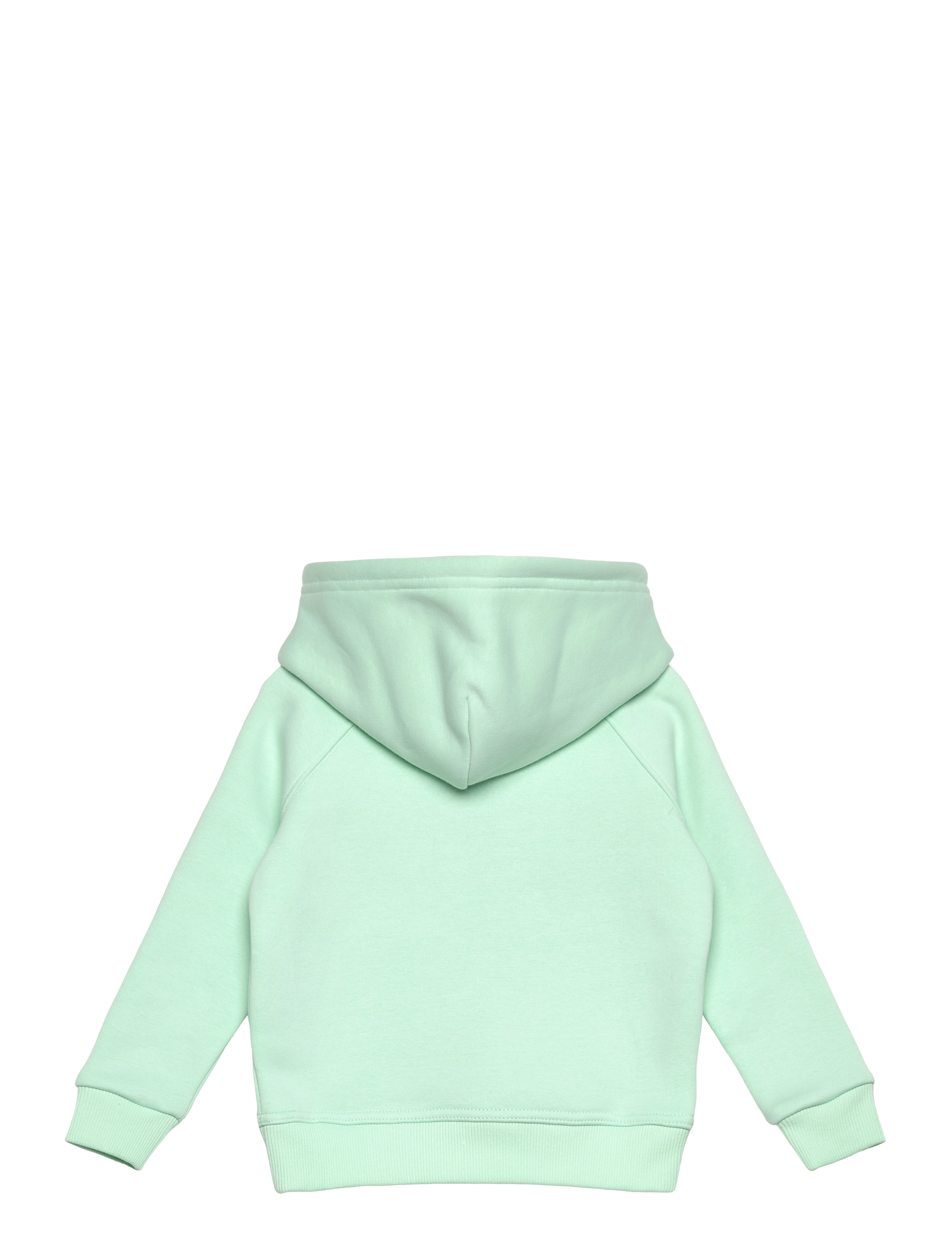 Gant - ARCHIVE SHIELD RAGLAN HOODIE - kapuutsiga dressipluusid - faded mint - 1