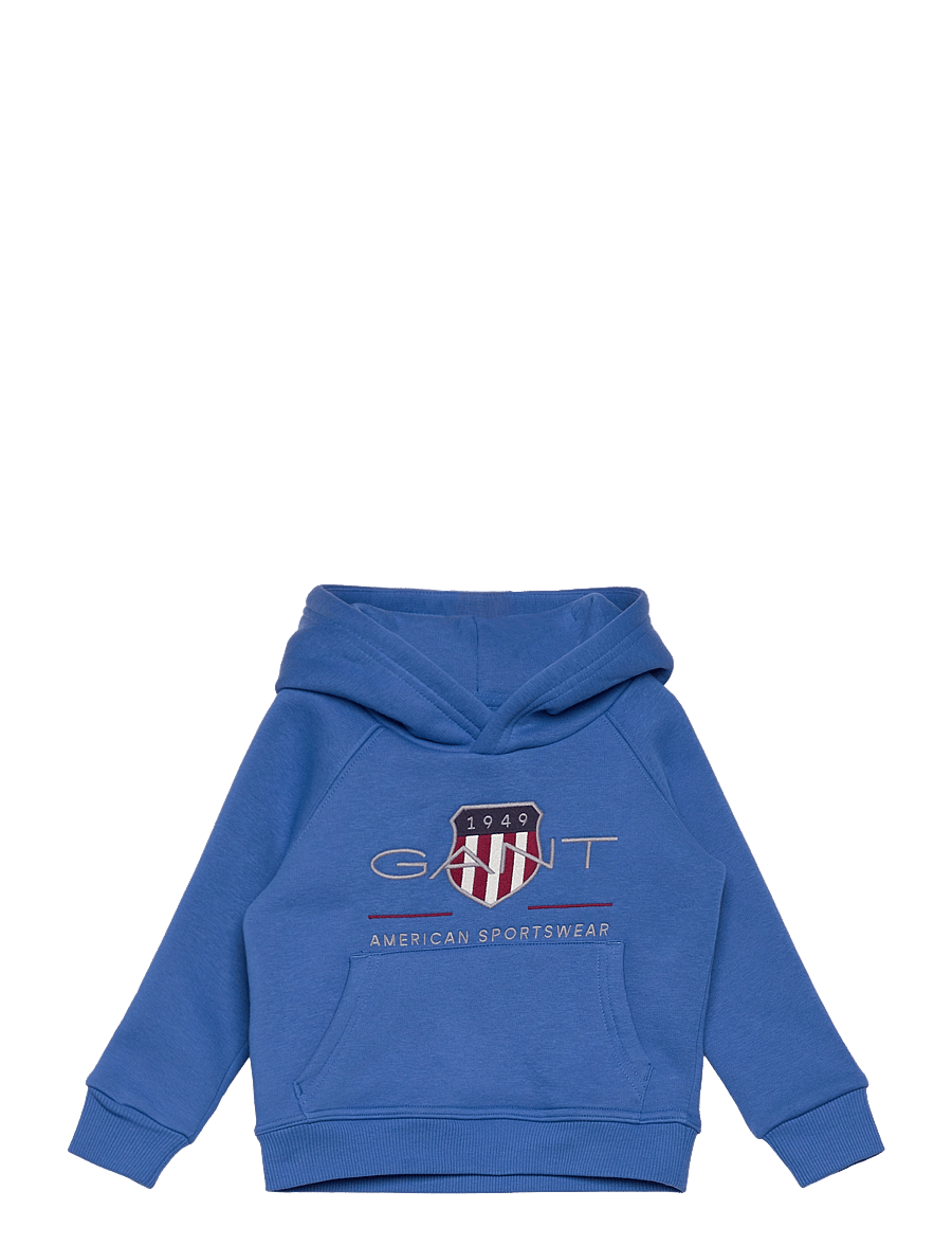 Gant - ARCHIVE SHIELD RAGLAN HOODIE - džemperiai su gobtuvu - greece blue - 0