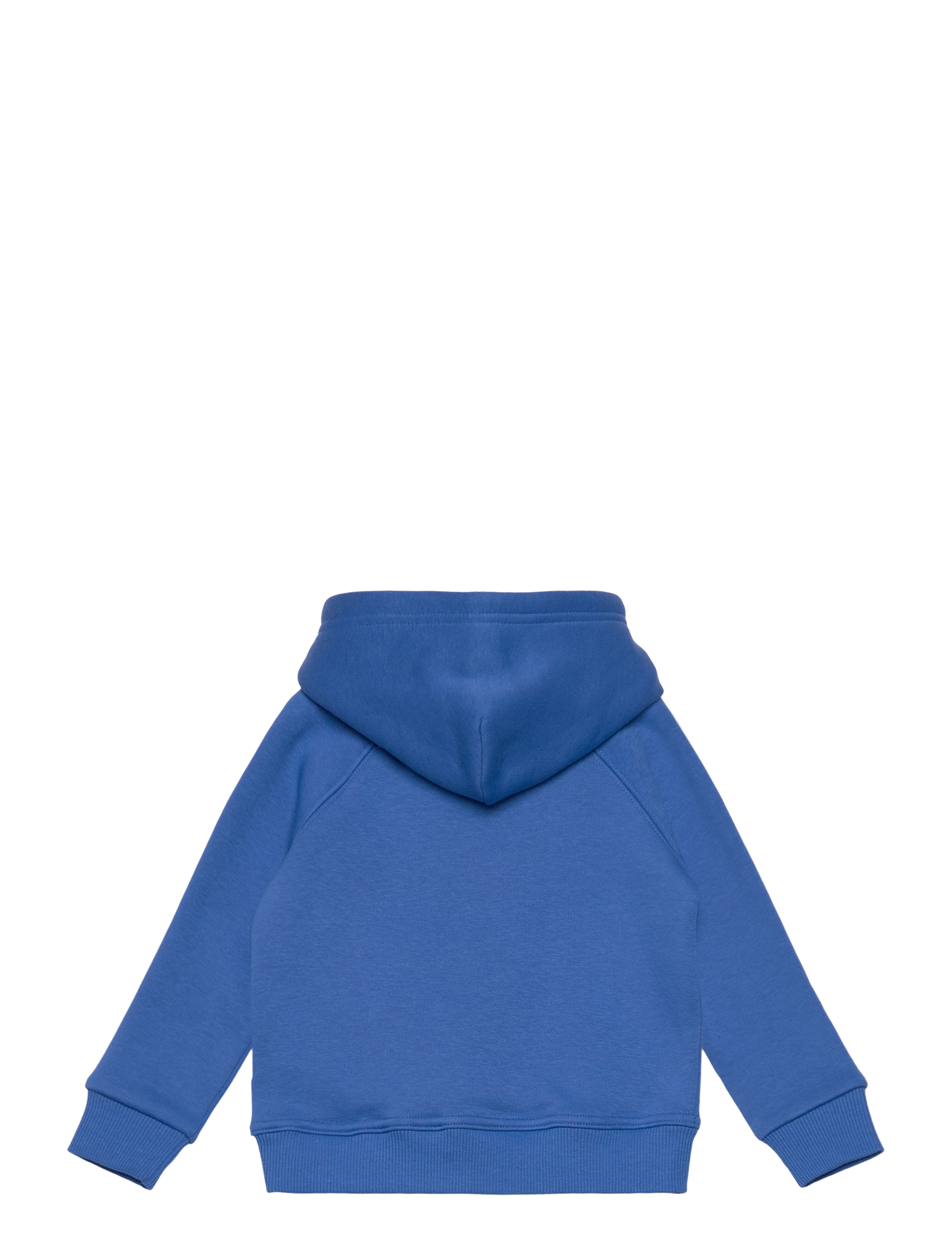 Gant - ARCHIVE SHIELD RAGLAN HOODIE - kapuutsiga dressipluusid - greece blue - 1