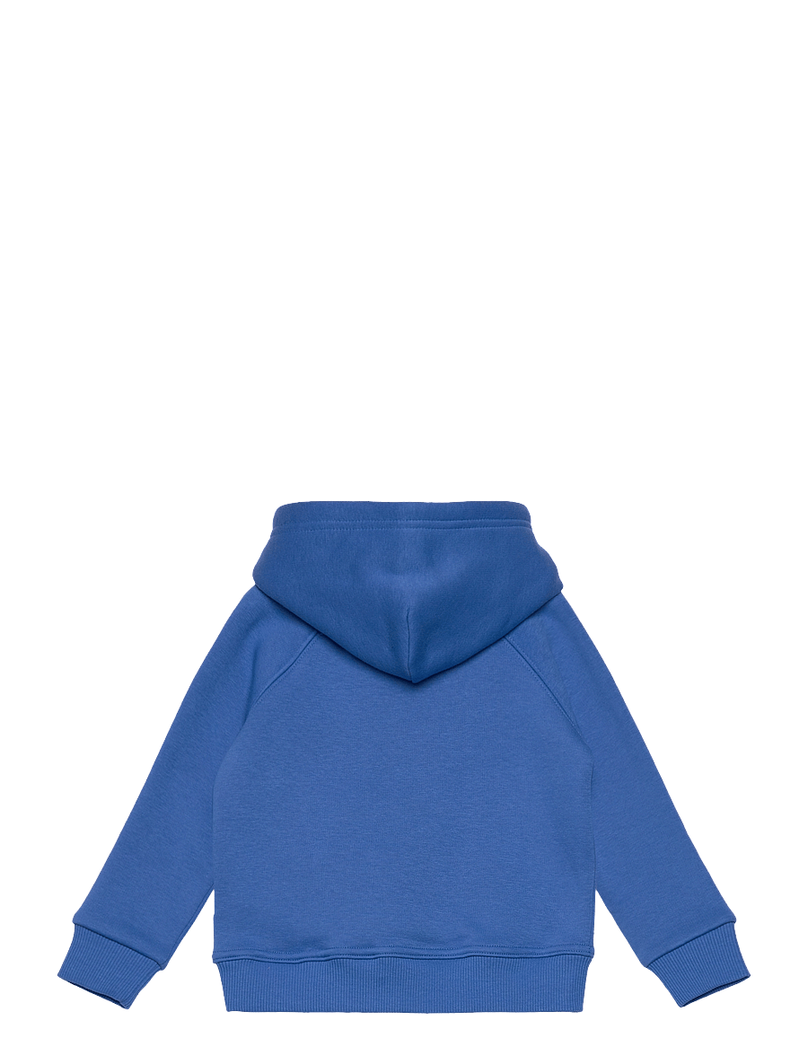 Gant - ARCHIVE SHIELD RAGLAN HOODIE - džemperiai su gobtuvu - greece blue - 1