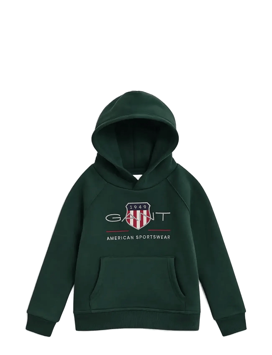 Gant - ARCHIVE SHIELD RAGLAN HOODIE - džemperiai su gobtuvu - tartan green - 0