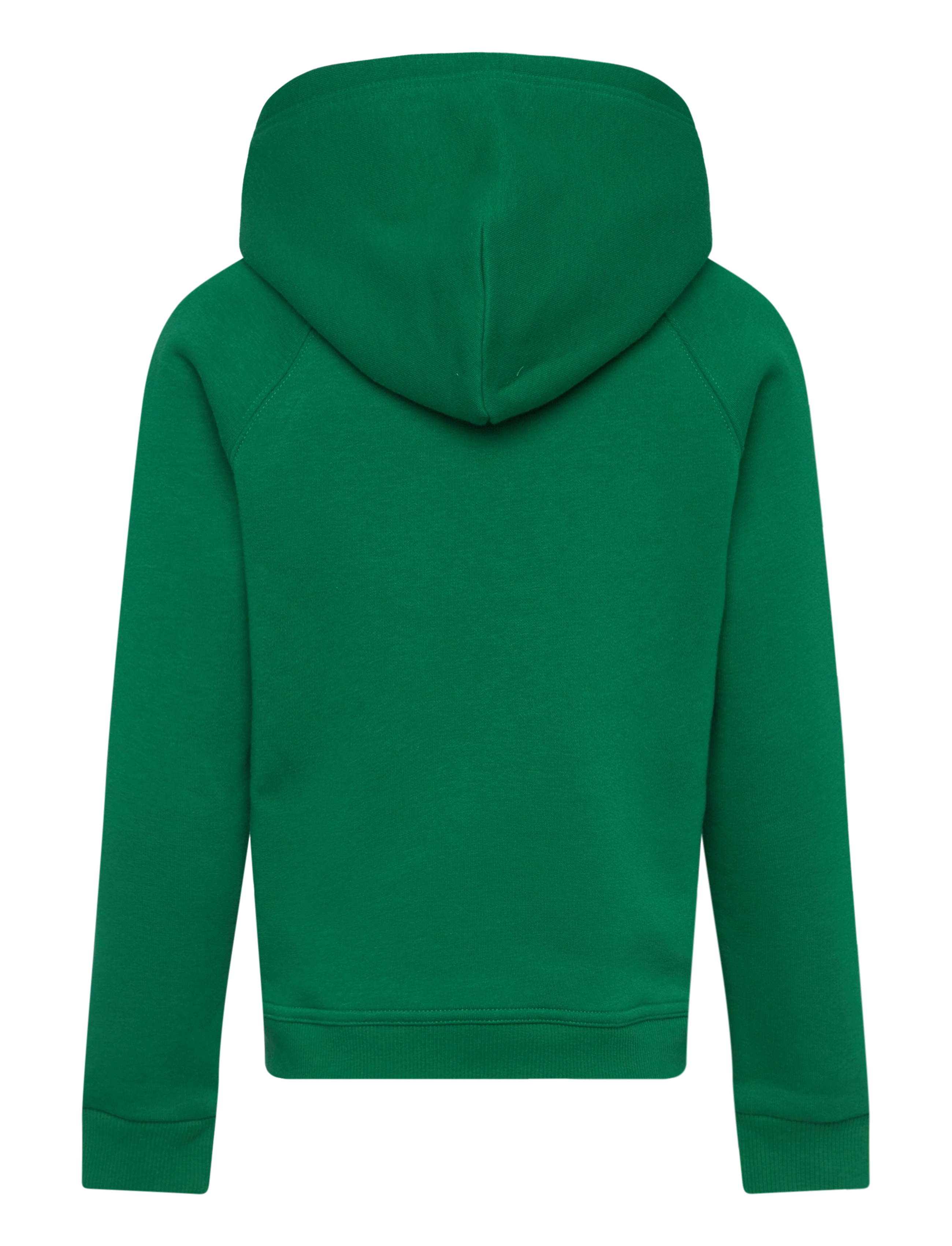 Gant - ARCHIVE SHIELD RAGLAN HOODIE - kapuutsiga dressipluusid - wild green - 1