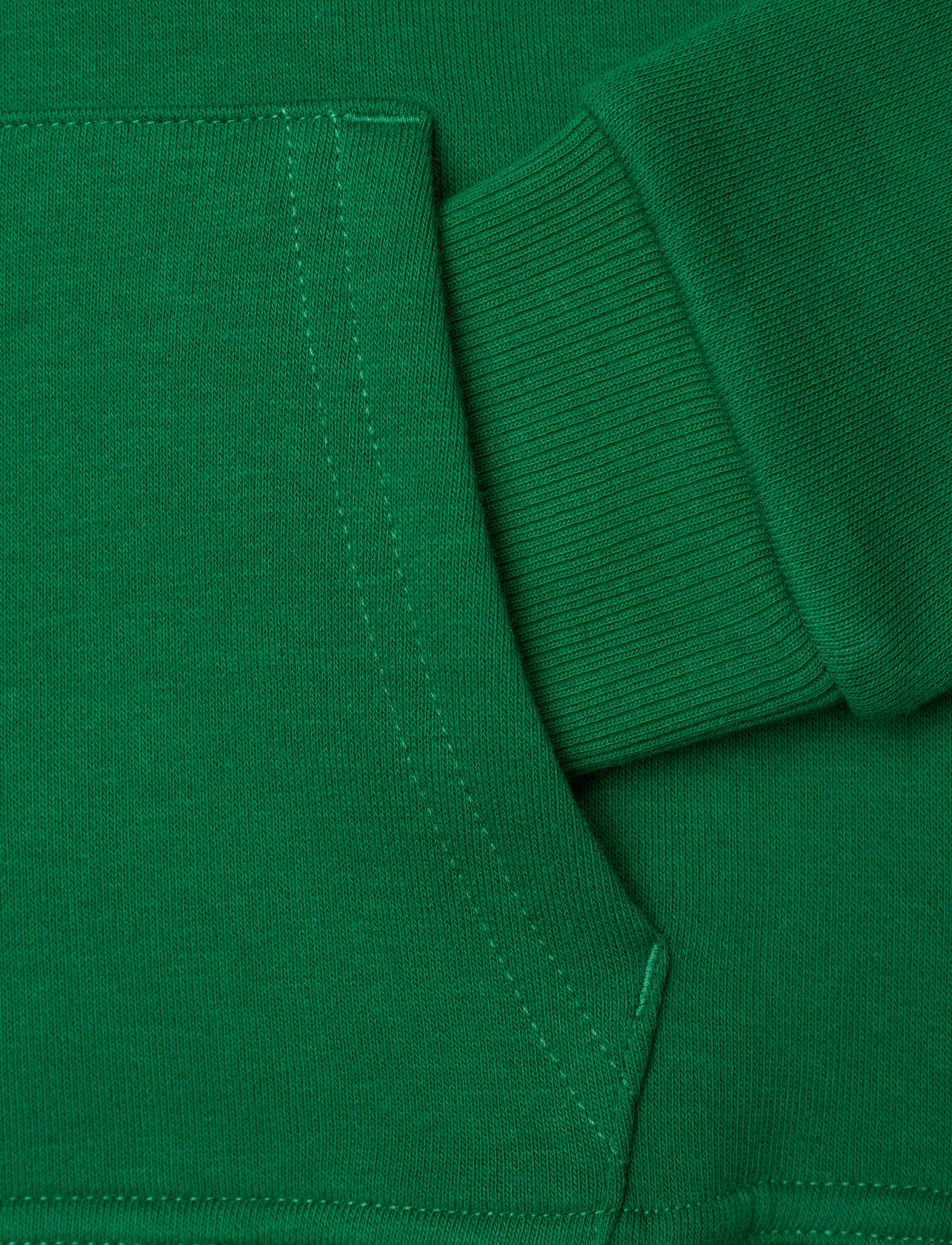 Gant - ARCHIVE SHIELD RAGLAN HOODIE - kapuutsiga dressipluusid - wild green - 3