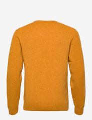 GANT - SUPERFINE LAMBSWOOL V-NECK - megztinis su v formos apykakle - dk mustard orange - 1