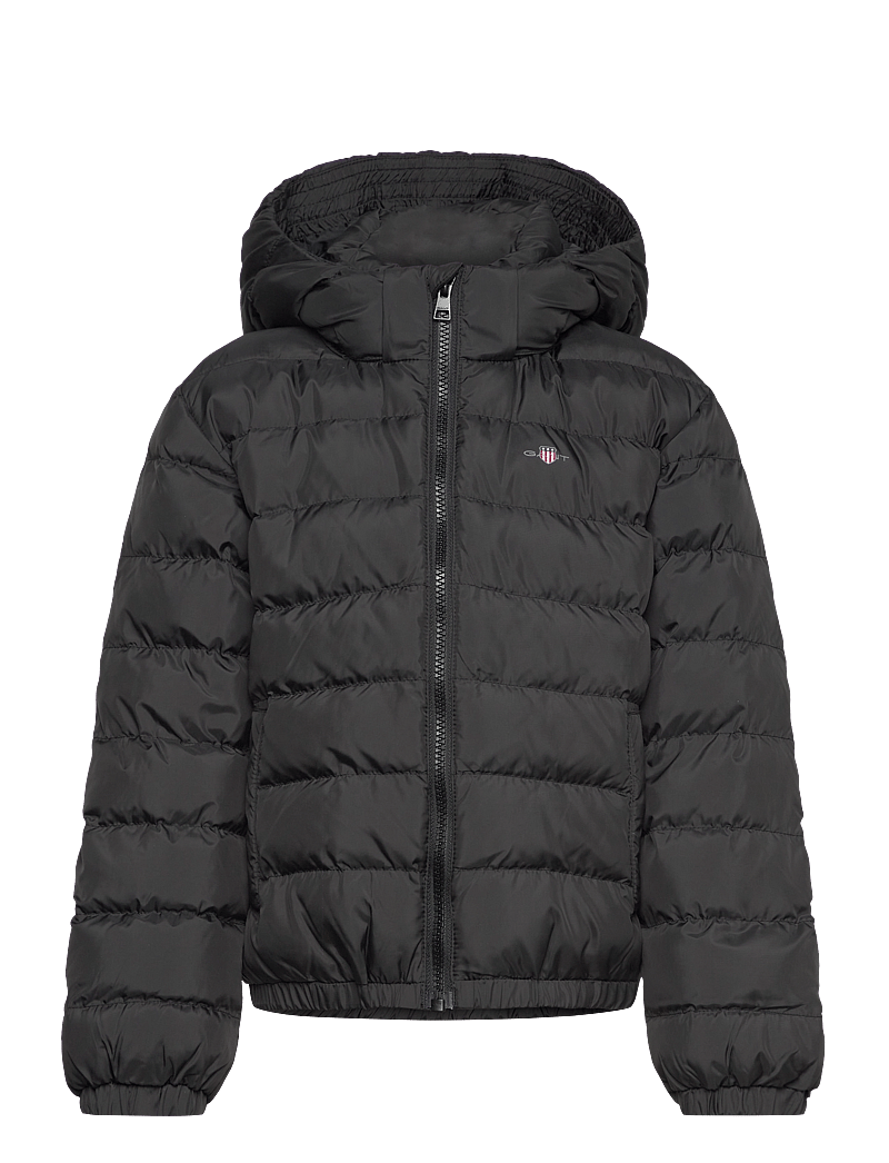 GANT Shield Padded Jacket – puffer padded – shop at Booztlet