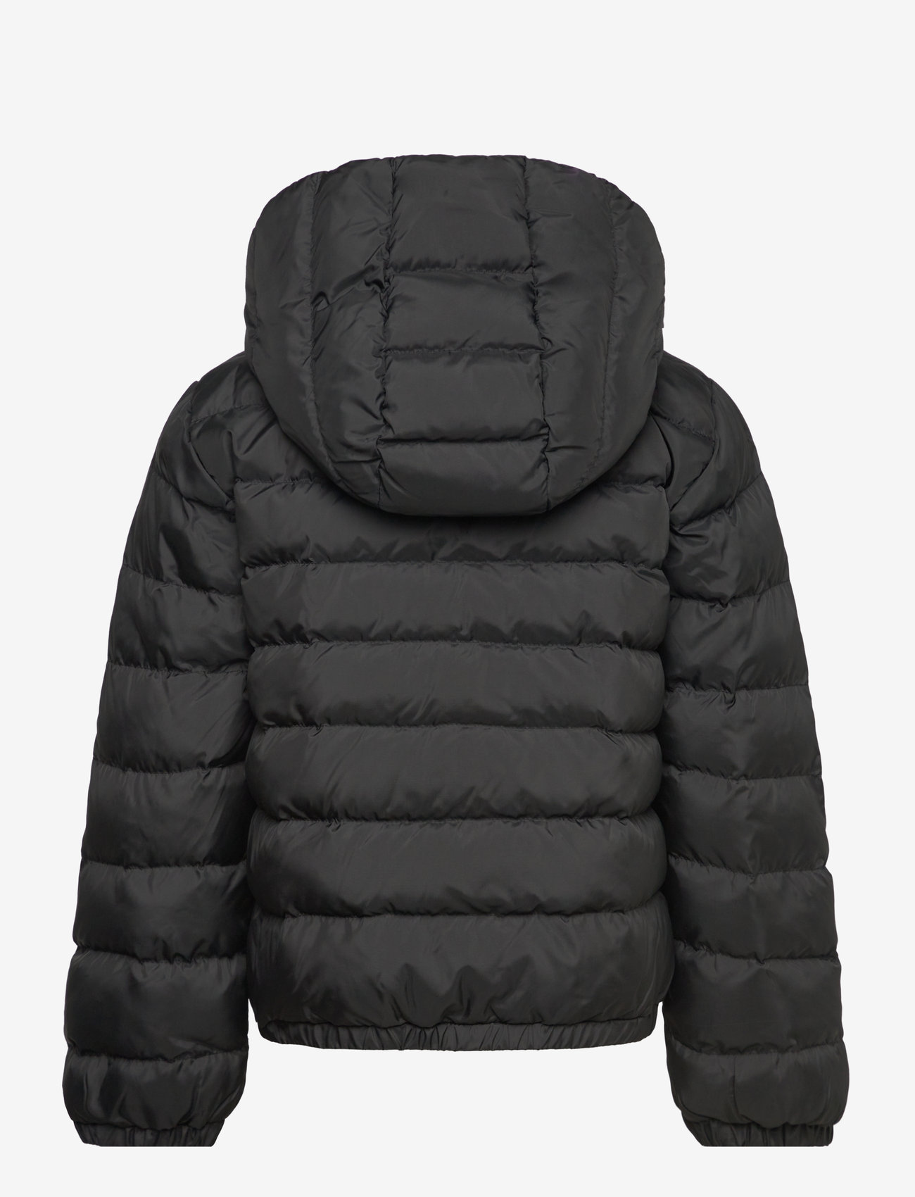 GANT - SHIELD PADDED JACKET - black - 1