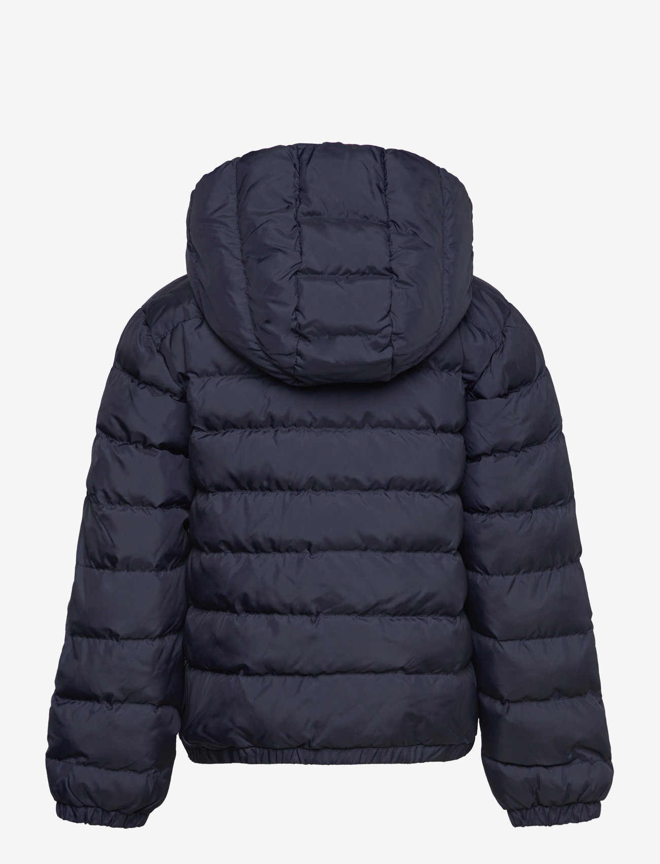 GANT - SHIELD PADDED JACKET - dunjakker & forede jakker - evening blue - 1