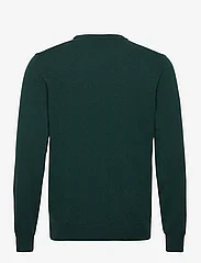 GANT - SUPERFINE LAMBSWOOL C-NECK - megztinis su apvalios formos apykakle - tartan green - 1