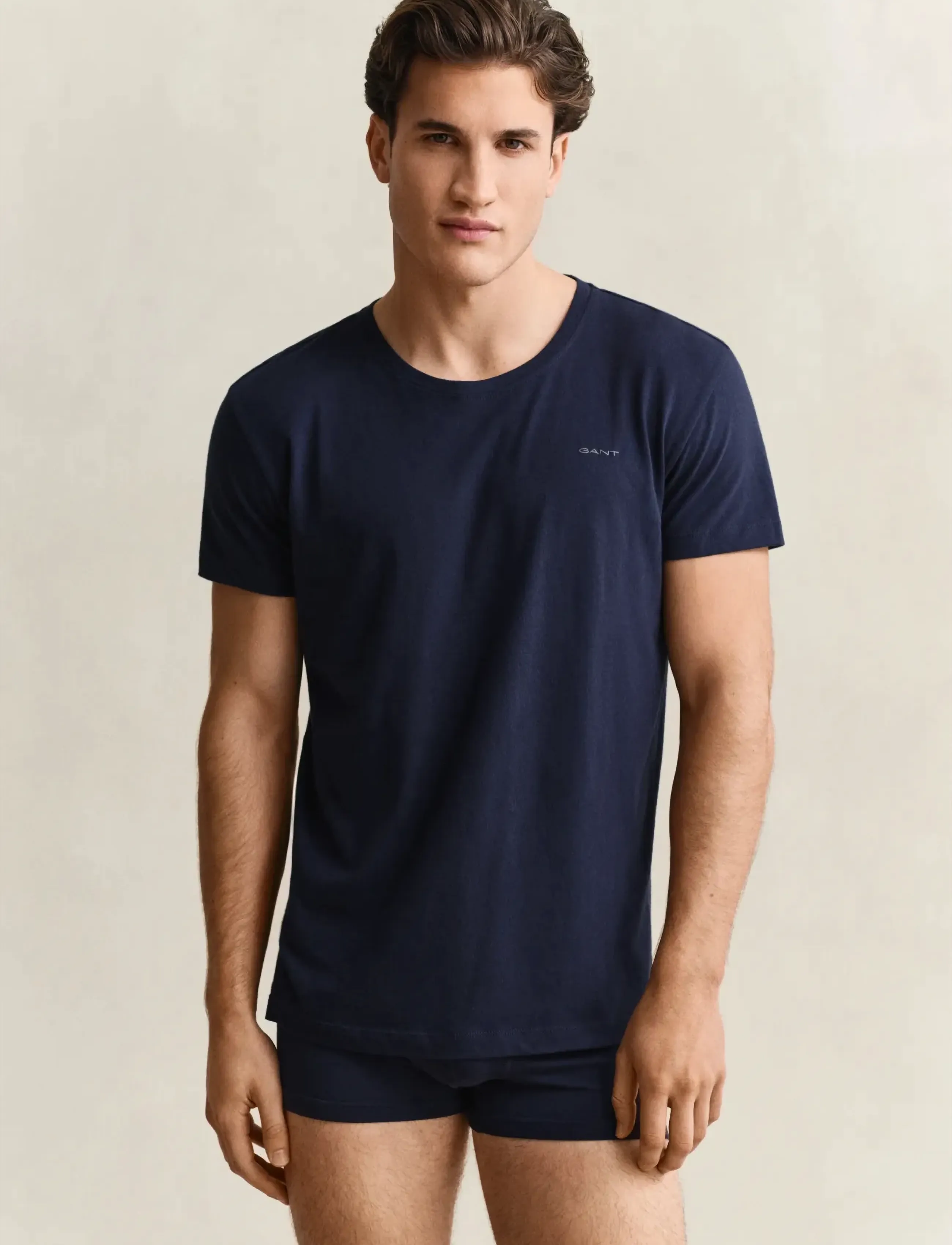 GANT C-NECK T-SHIRT 2-PACK - T-Shirts - NAVY / WHITE / multi