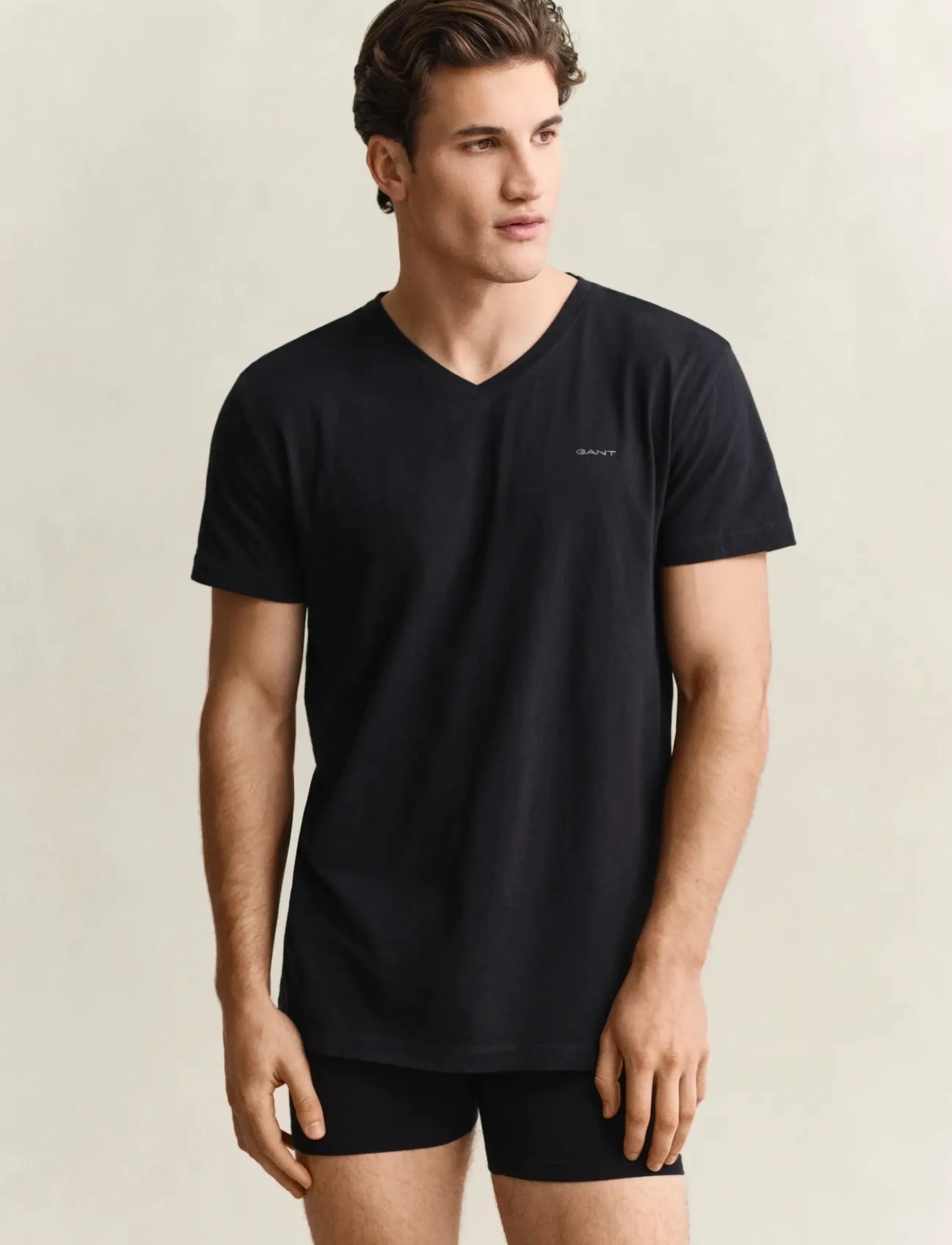 GANT 2-Pack V-Neck T-Shirts - T-Shirts - BLACK / WHITE / multi