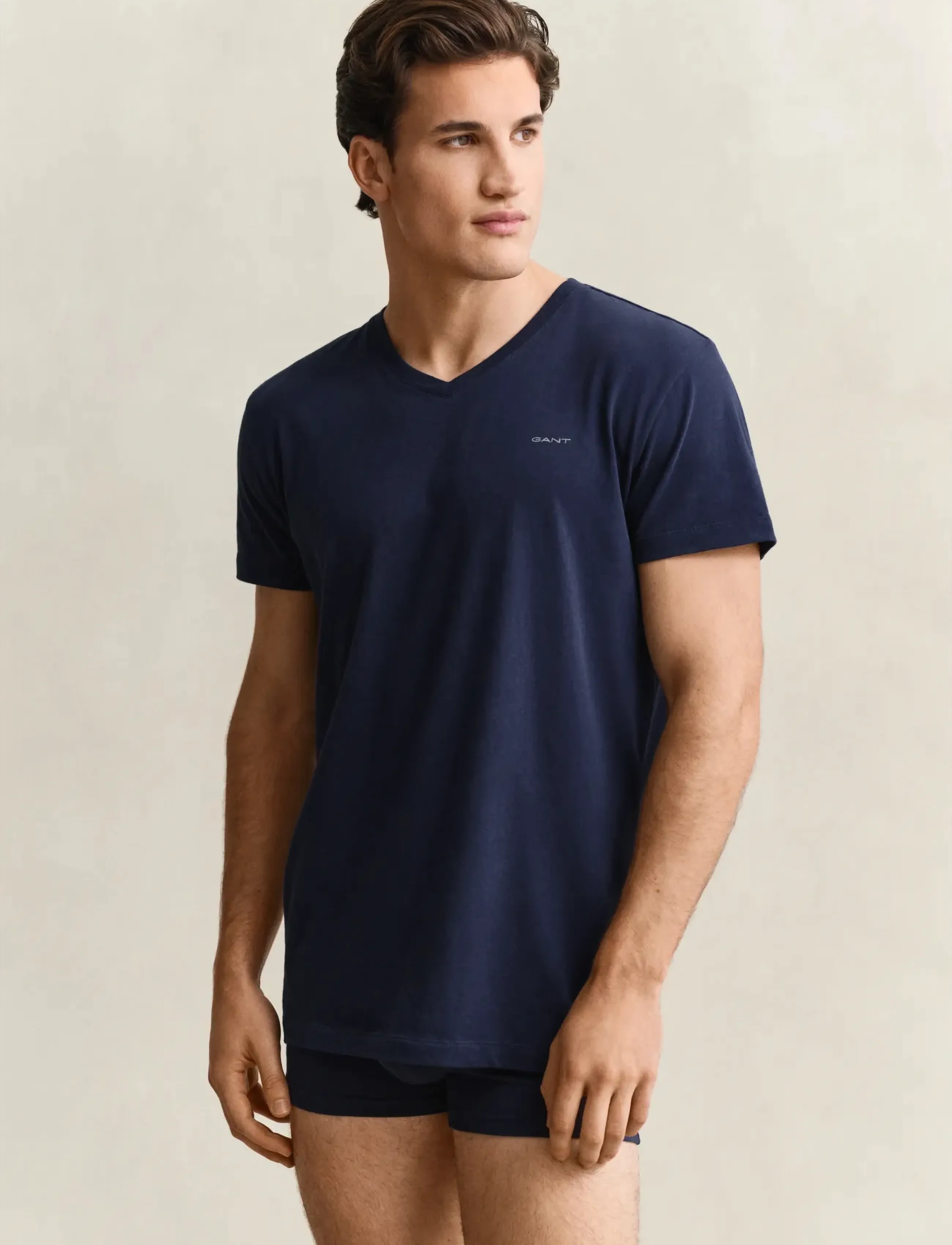 Gant - V-NECK T-SHIRT 2-PACK - stuttermabolir með v-hálsmáli - navy / white - 0