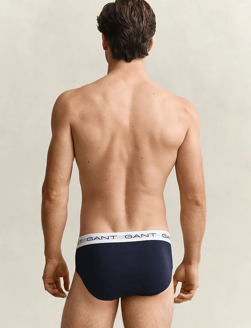 GANT - BRIEF 3-PACK - multipack underbukser - multicolor - 2