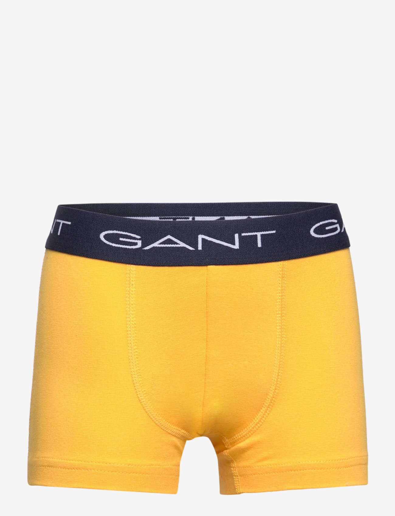 GANT - YARN-DYED STRIPE TRUNK 3-PACK - lavish green - 2