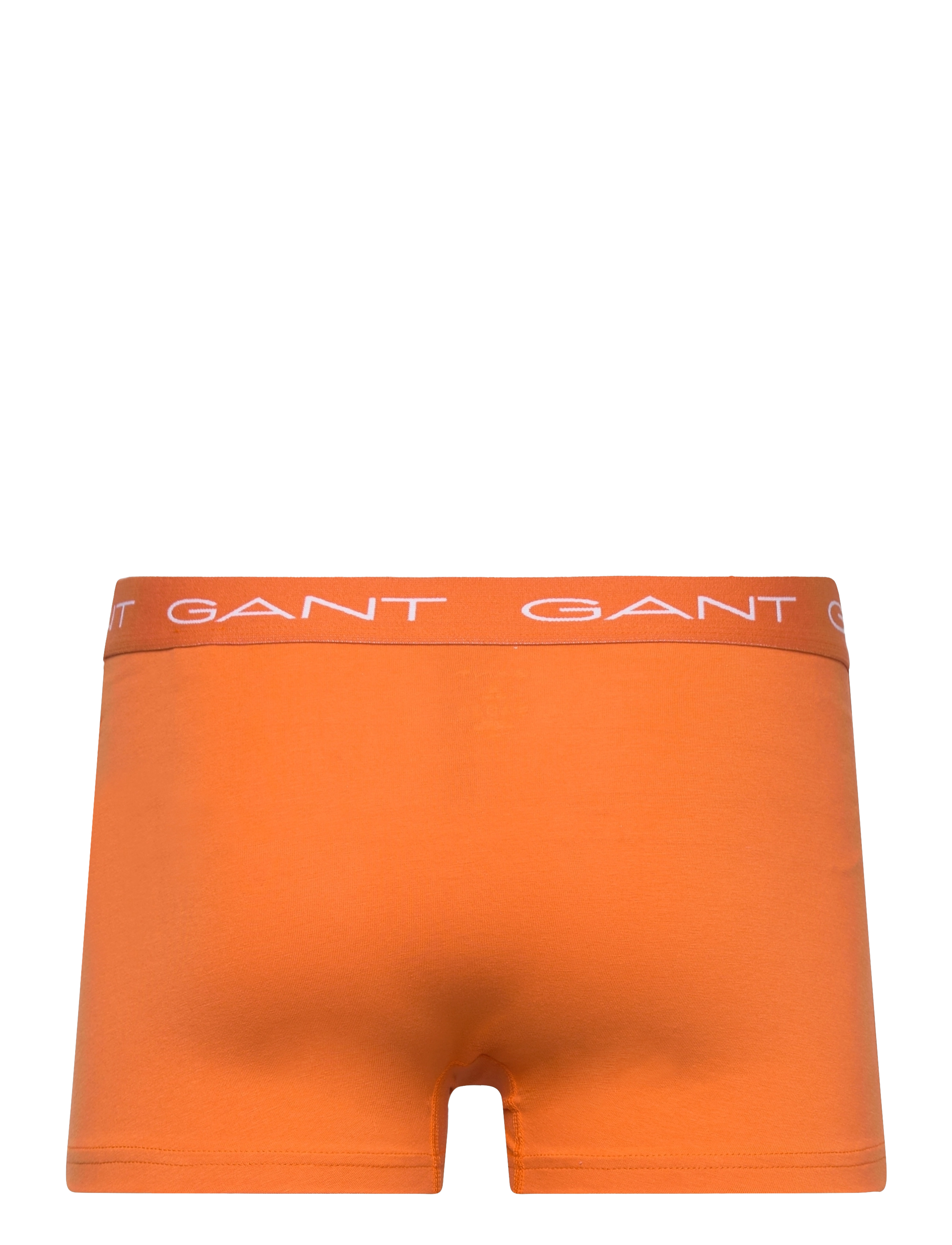 GANT - TRUNK 3-PACK - mid green - 3
